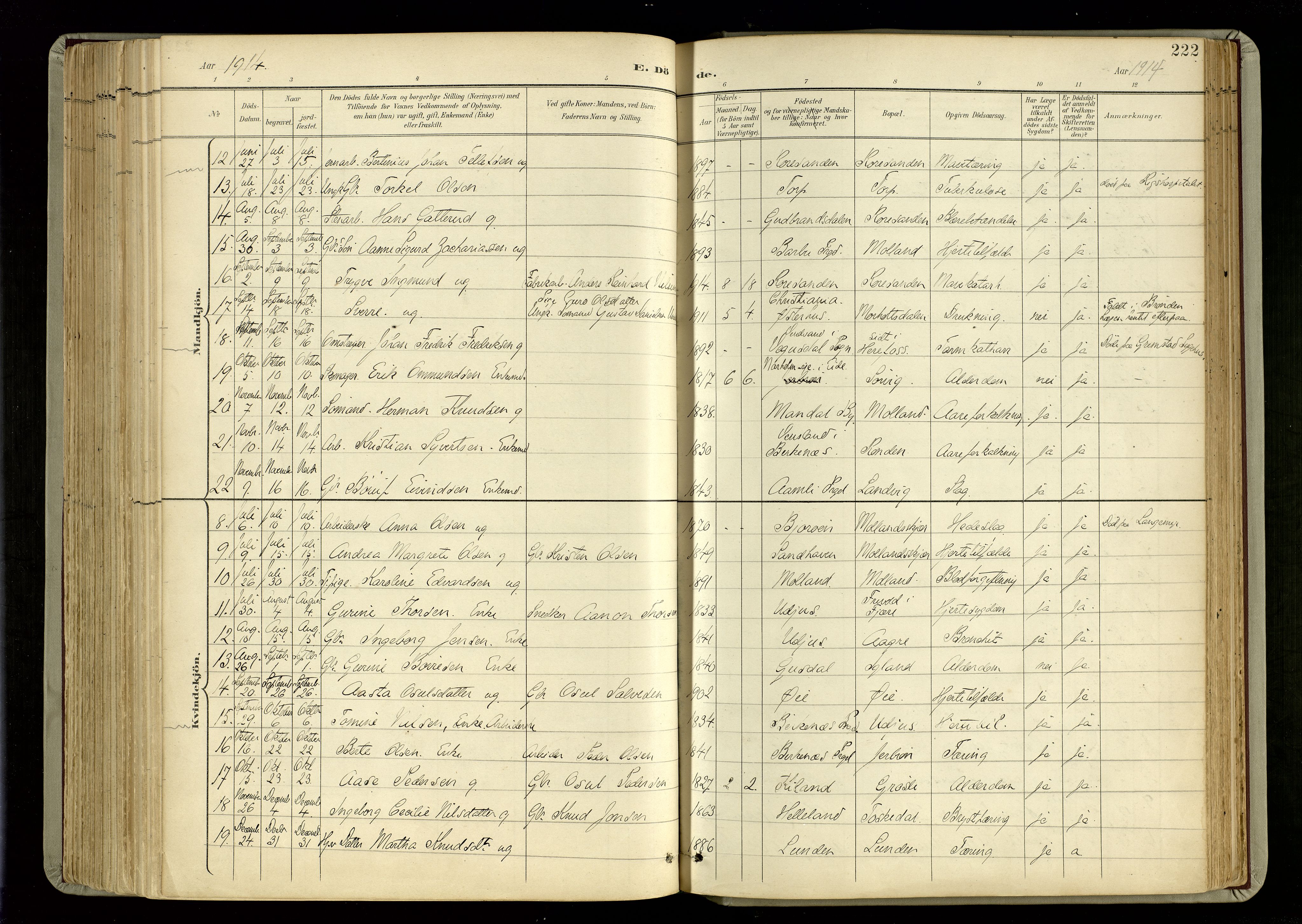 Hommedal sokneprestkontor, AV/SAK-1111-0023/F/Fa/Fab/L0007: Parish register (official) no. A 7, 1898-1924, p. 222