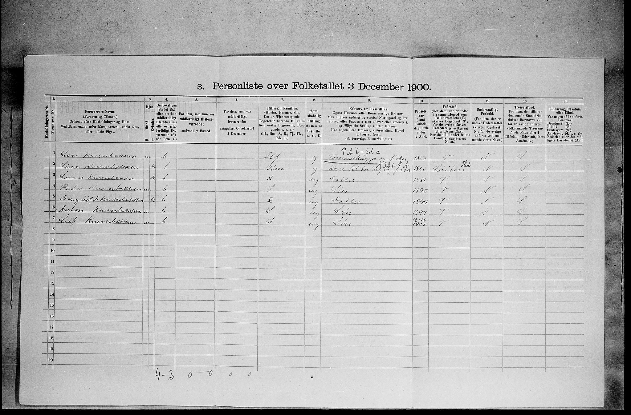 SAH, 1900 census for Elverum, 1900, p. 540