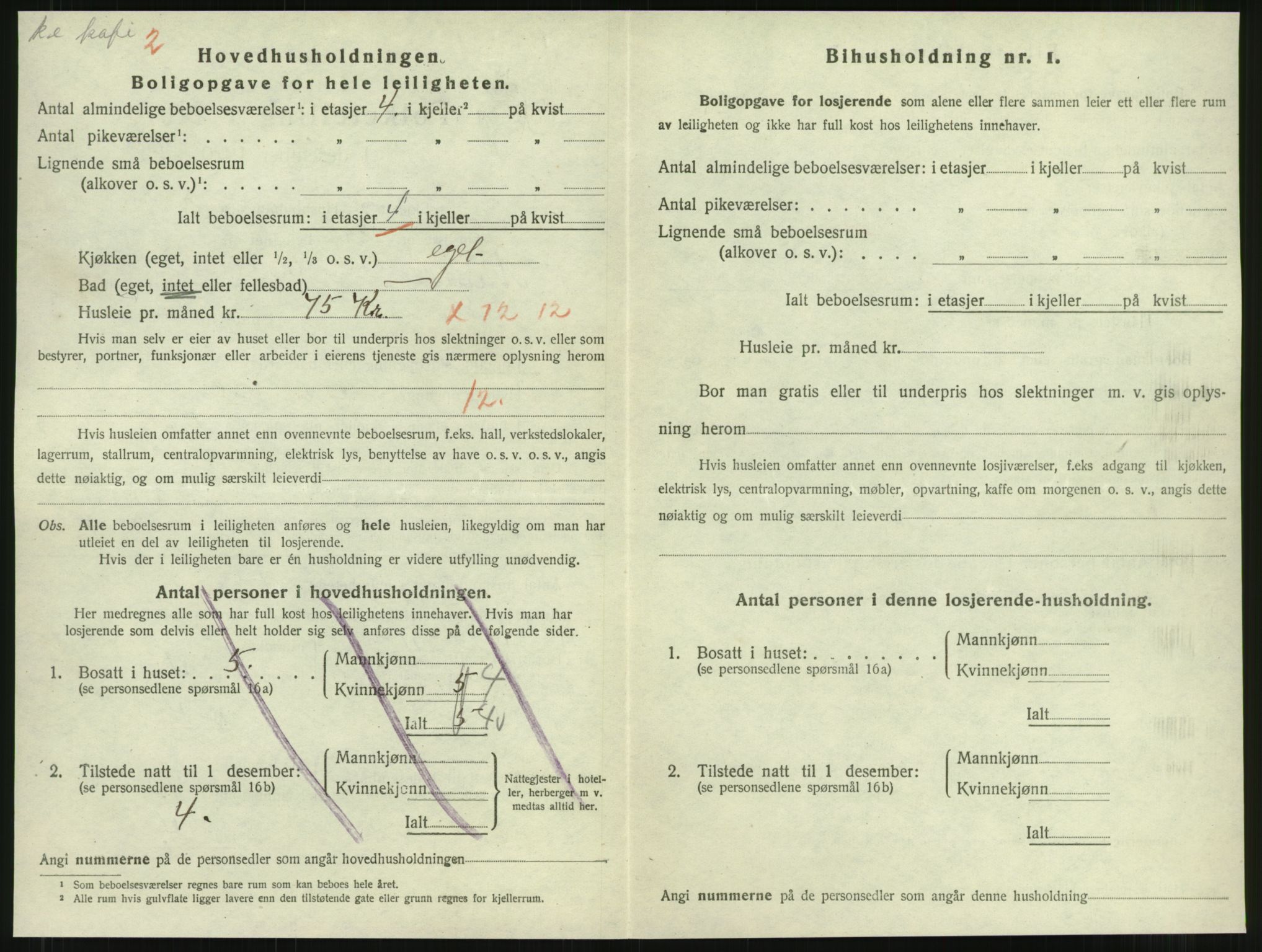 SAT, 1920 census for Namsos, 1920, p. 828