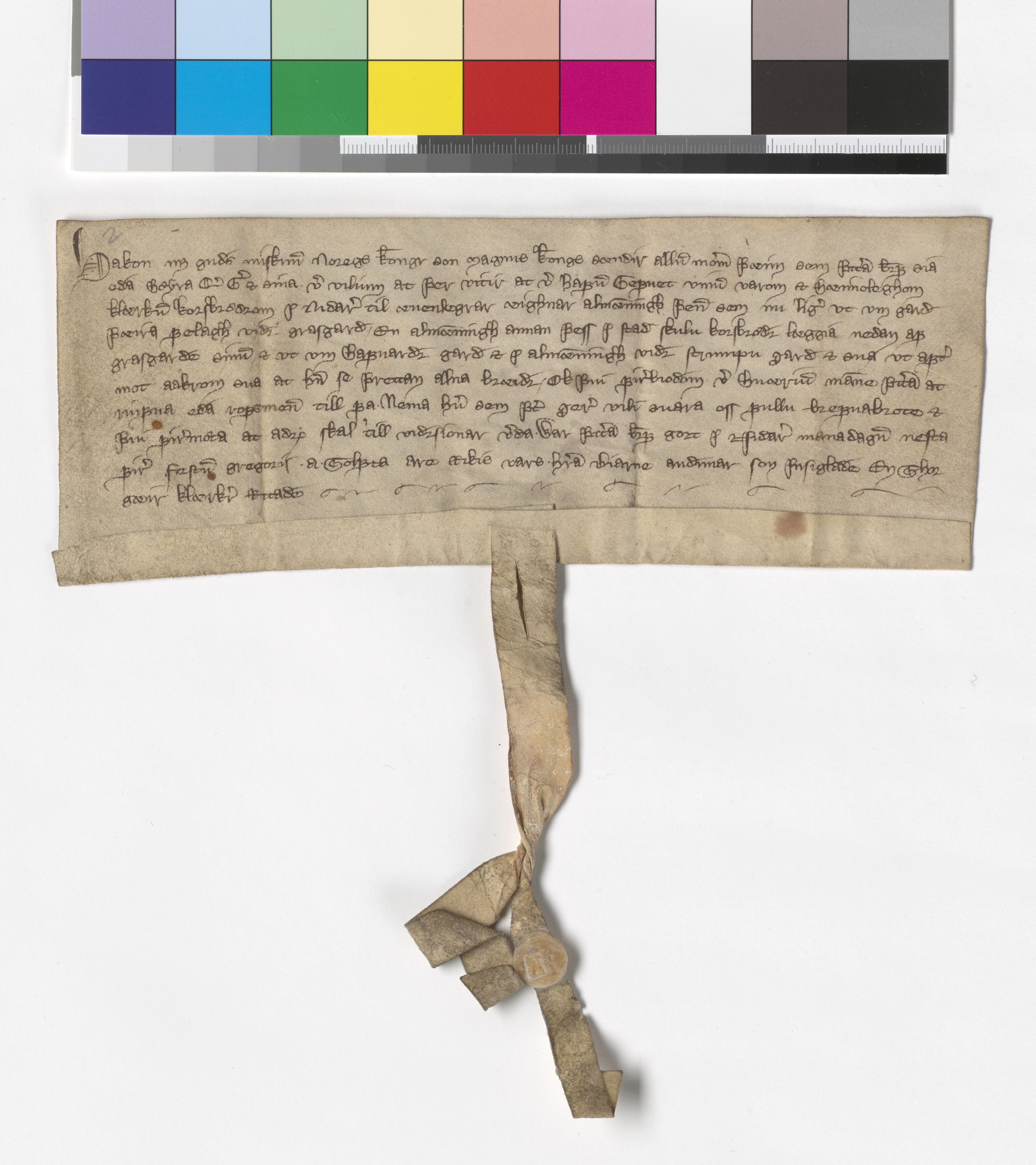 Riksarkivets diplomsamling, AV/RA-EA-5965/F05/L0005: NRA AM fasc. 2 nr. 3-6, 1308-1311, p. 14