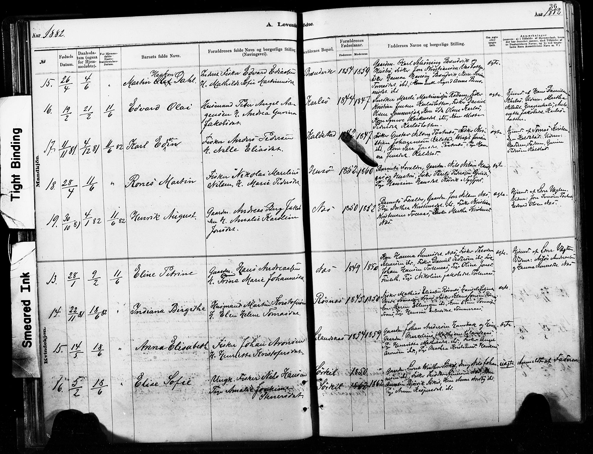 Ministerialprotokoller, klokkerbøker og fødselsregistre - Nordland, AV/SAT-A-1459/859/L0846: Parish register (official) no. 859A06, 1878-1889, p. 36