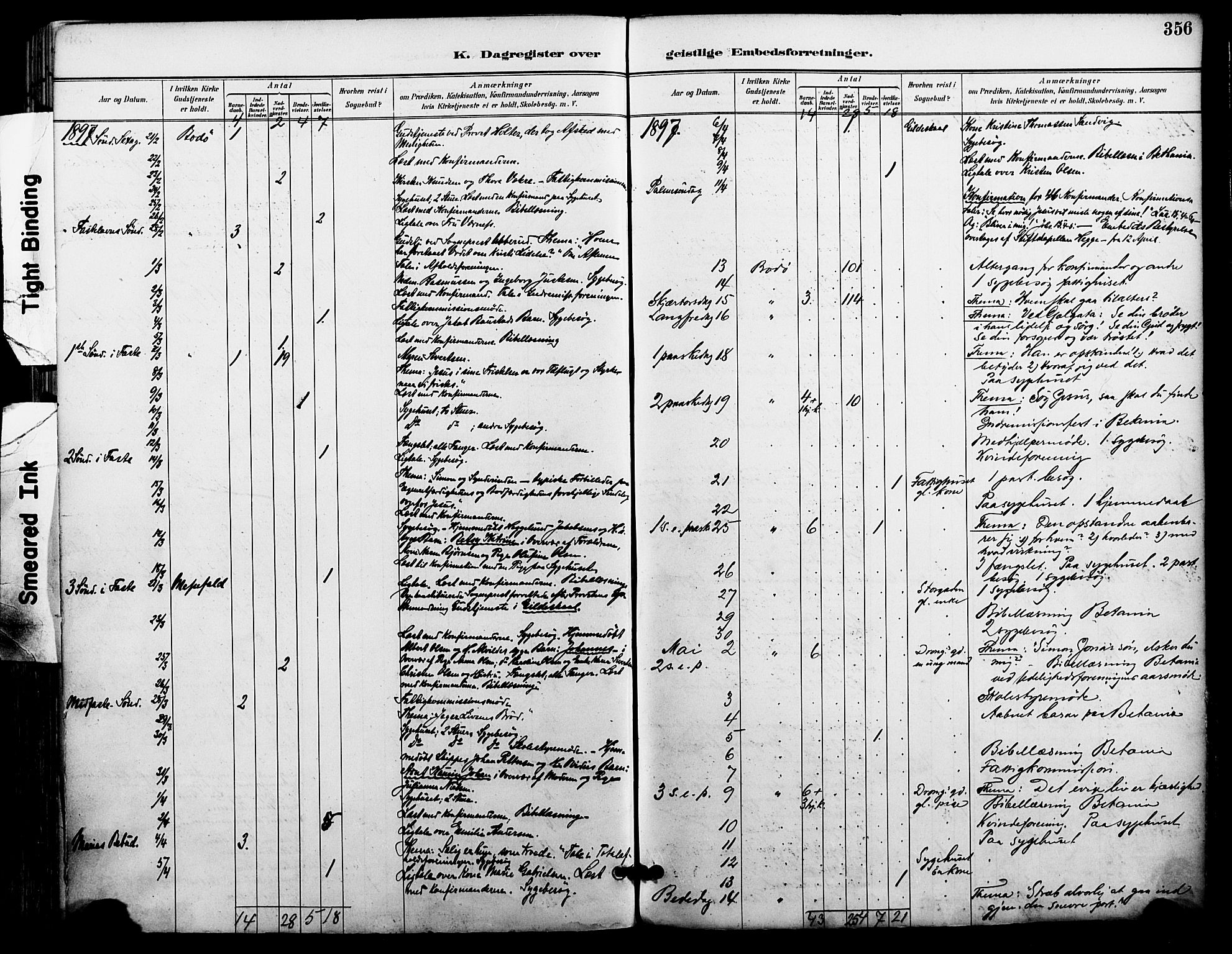 Ministerialprotokoller, klokkerbøker og fødselsregistre - Nordland, AV/SAT-A-1459/801/L0010: Parish register (official) no. 801A10, 1888-1899, p. 356