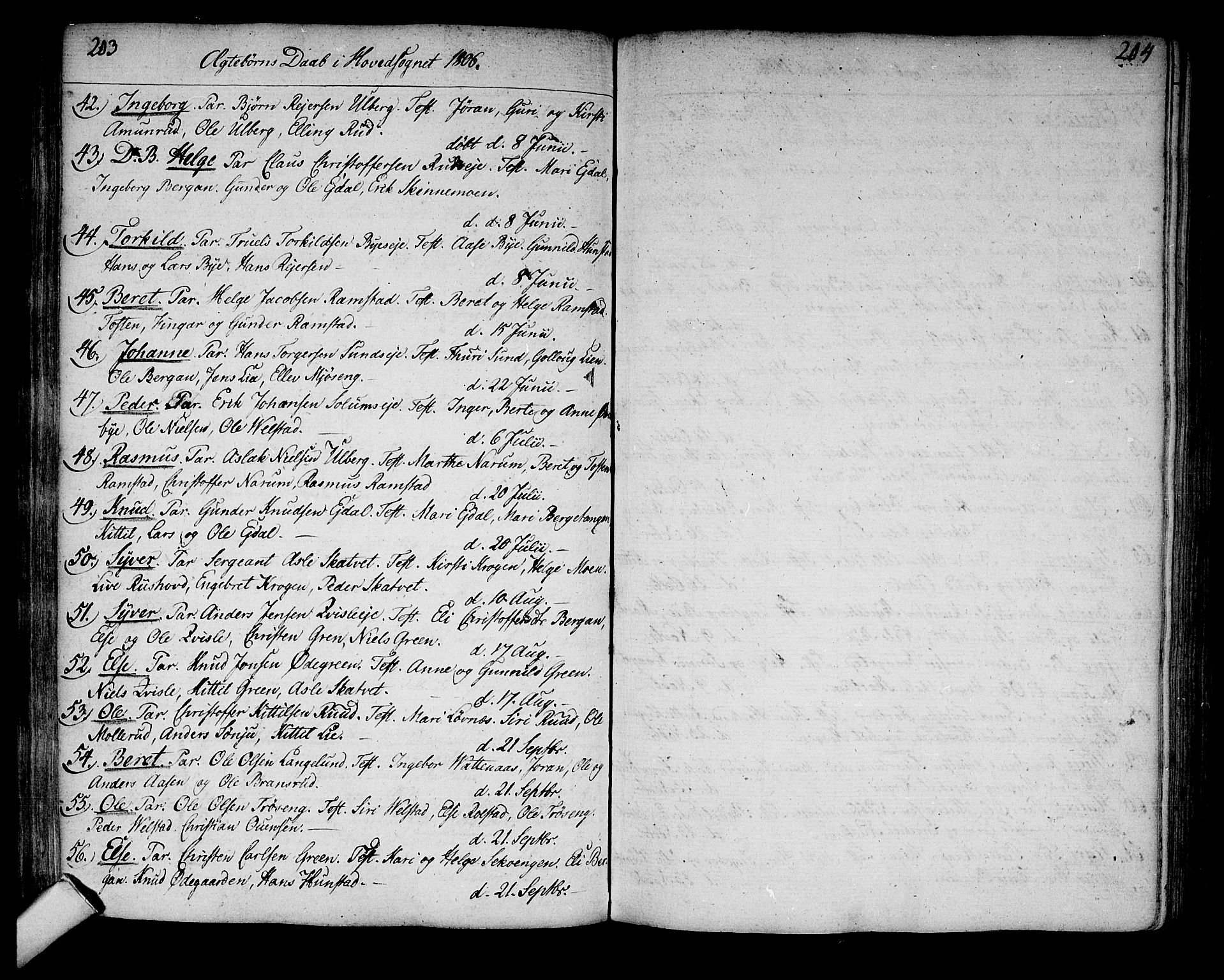 Sigdal kirkebøker, AV/SAKO-A-245/F/Fa/L0003: Parish register (official) no. I 3, 1793-1811, p. 203-204