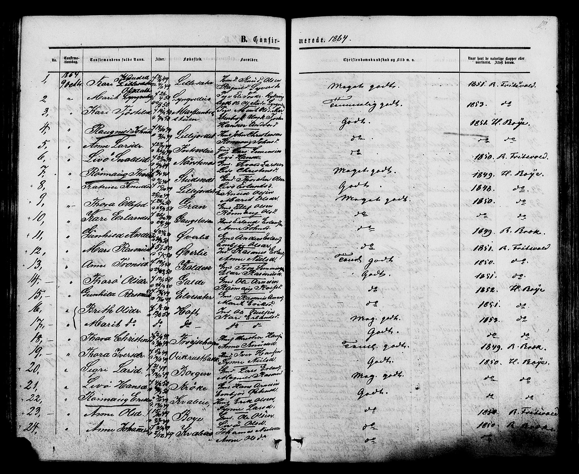 Lom prestekontor, AV/SAH-PREST-070/K/L0007: Parish register (official) no. 7, 1863-1884, p. 119