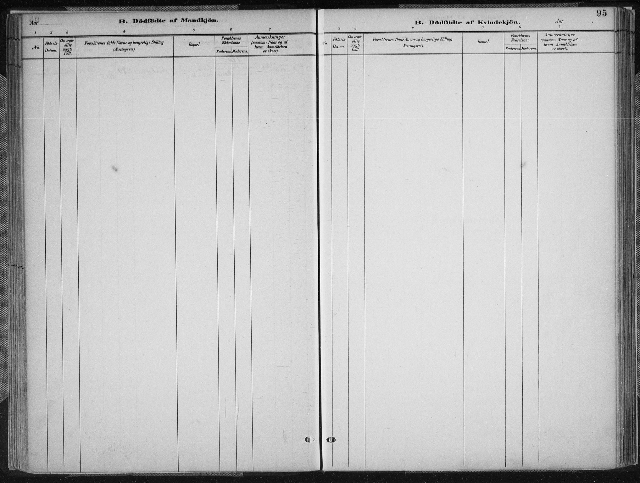 Birkenes sokneprestkontor, SAK/1111-0004/F/Fa/L0005: Parish register (official) no. A 5, 1887-1907, p. 95