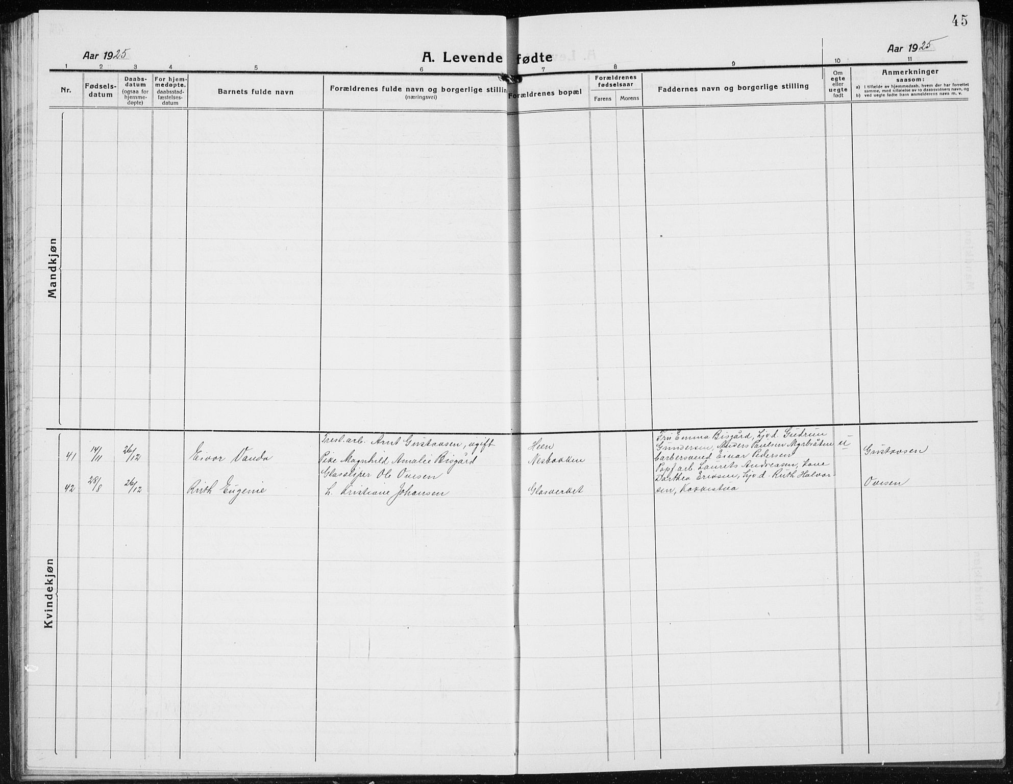 Jevnaker prestekontor, AV/SAH-PREST-116/H/Ha/Hab/L0005: Parish register (copy) no. 5, 1919-1934, p. 45