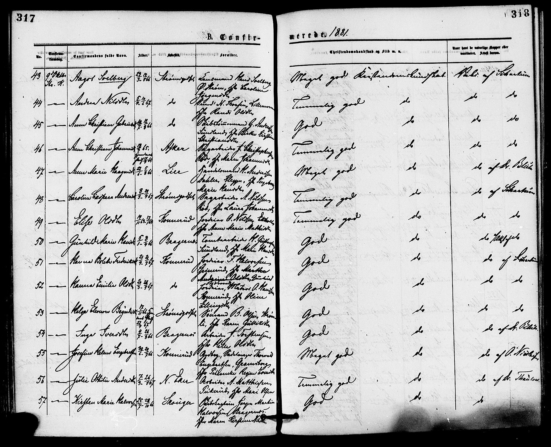 Skoger kirkebøker, AV/SAKO-A-59/F/Fa/L0005: Parish register (official) no. I 5, 1873-1884, p. 317-318