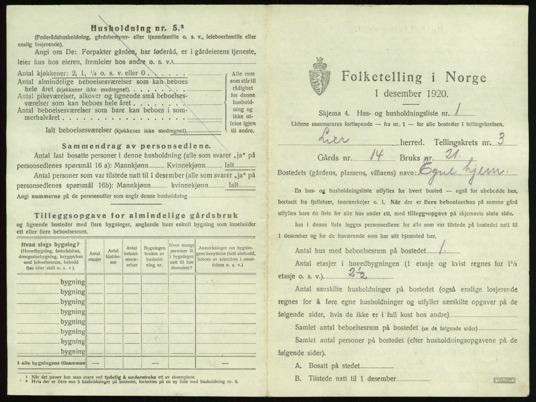 SAKO, 1920 census for Lier, 1920, p. 349