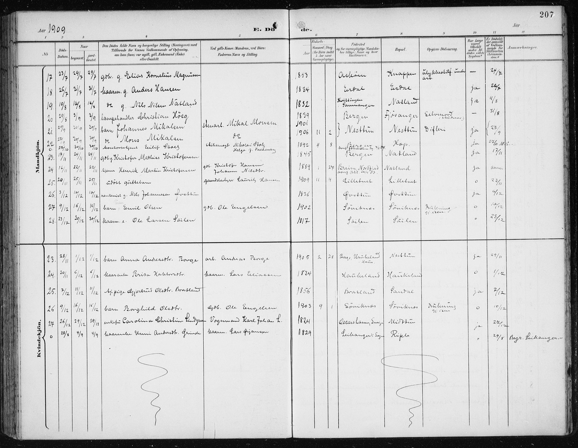 Fana Sokneprestembete, SAB/A-75101/H/Haa/Haai/L0003: Parish register (official) no. I 3, 1900-1912, p. 207