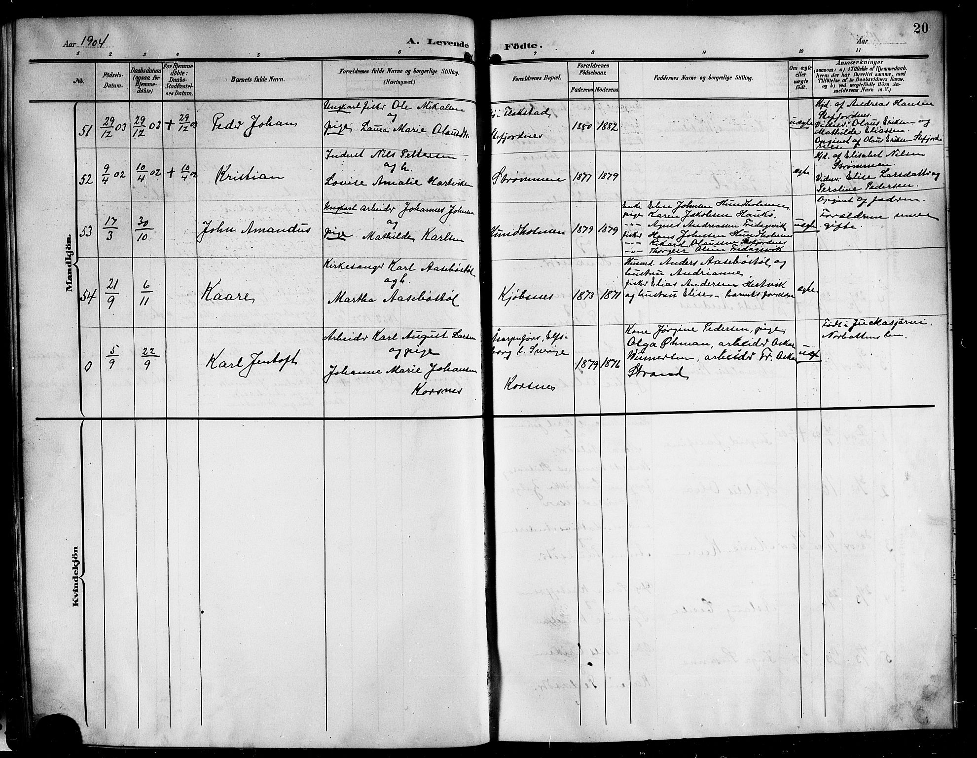 Ministerialprotokoller, klokkerbøker og fødselsregistre - Nordland, AV/SAT-A-1459/861/L0877: Parish register (copy) no. 861C03, 1903-1919, p. 20