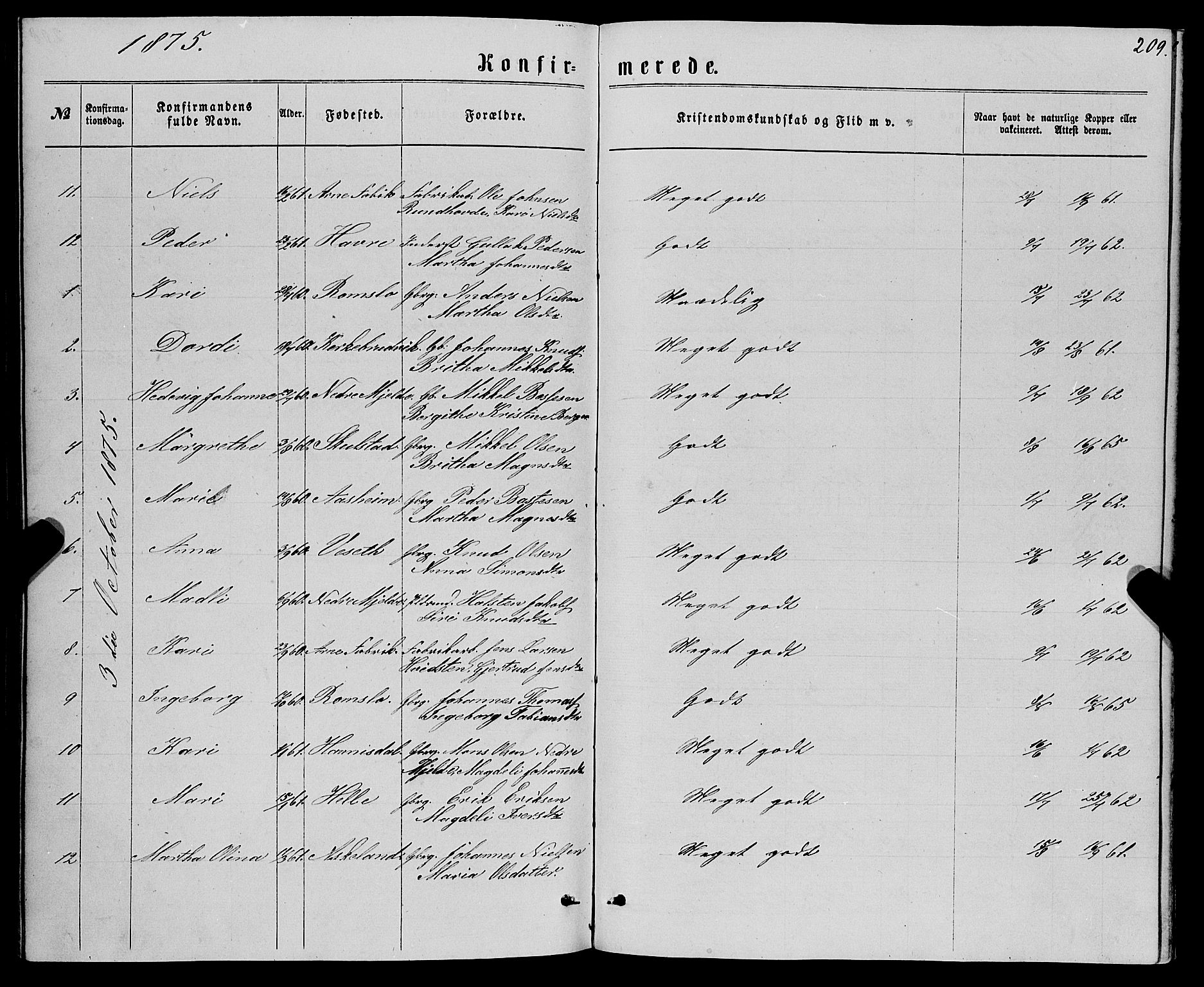 Haus sokneprestembete, AV/SAB-A-75601/H/Haa: Parish register (official) no. A 18, 1871-1877, p. 209