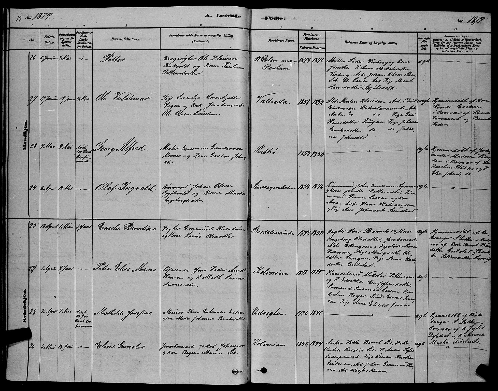 Ministerialprotokoller, klokkerbøker og fødselsregistre - Sør-Trøndelag, SAT/A-1456/606/L0312: Parish register (copy) no. 606C08, 1878-1894, p. 19