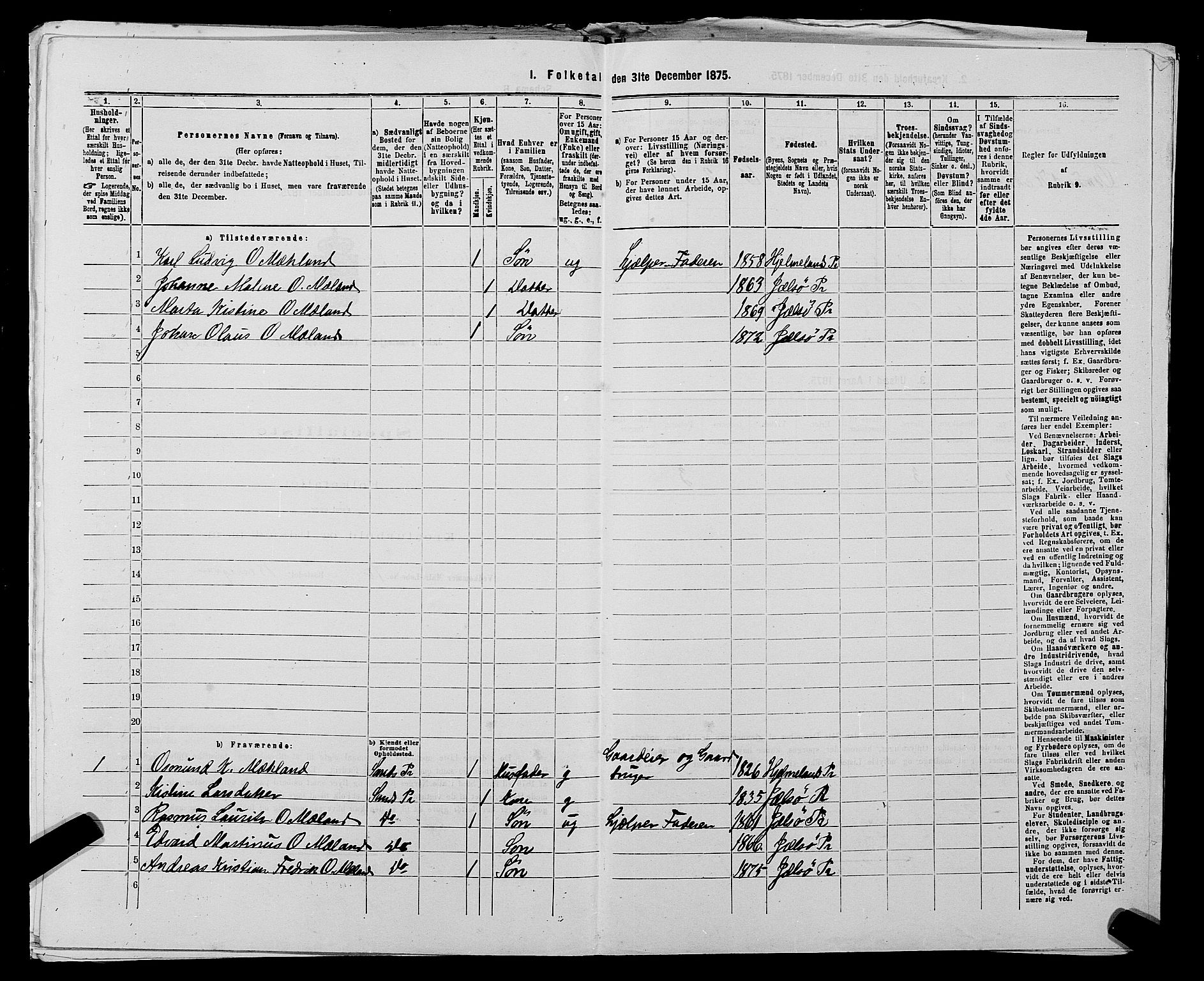 SAST, 1875 census for 1138P Jelsa, 1875, p. 105