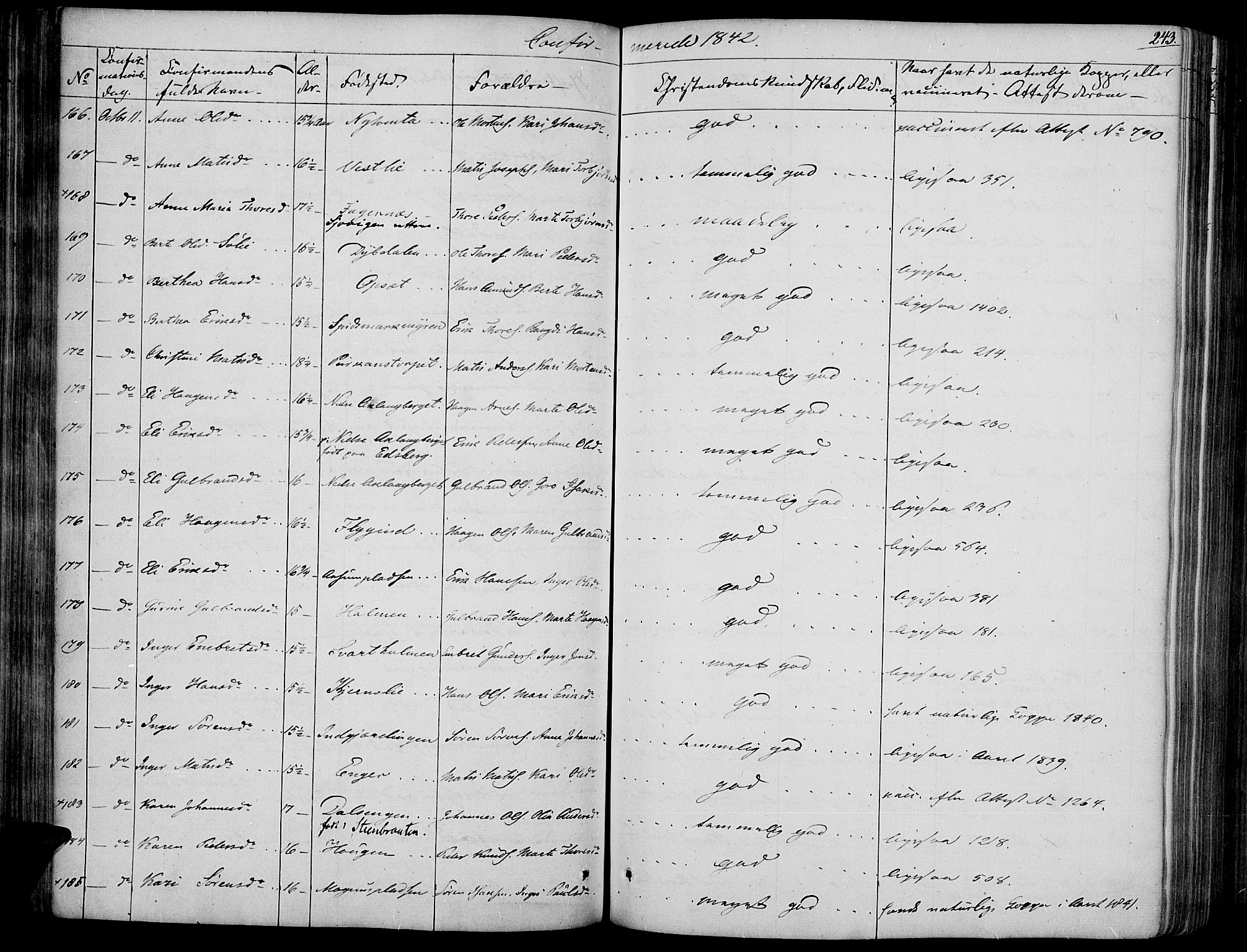 Vinger prestekontor, AV/SAH-PREST-024/H/Ha/Haa/L0008: Parish register (official) no. 8, 1839-1847, p. 243