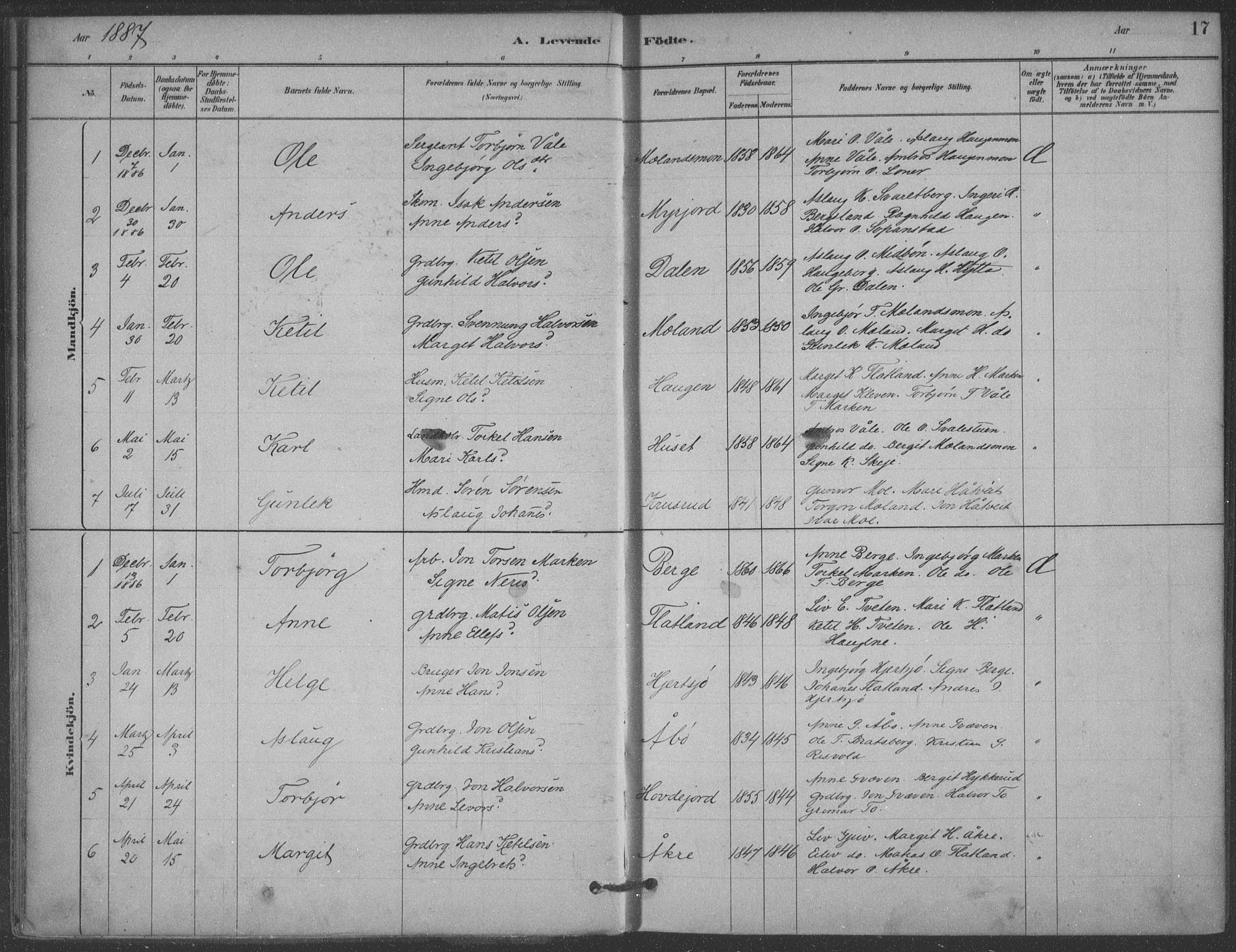 Hjartdal kirkebøker, SAKO/A-270/F/Fa/L0010: Parish register (official) no. I 10, 1880-1929, p. 17