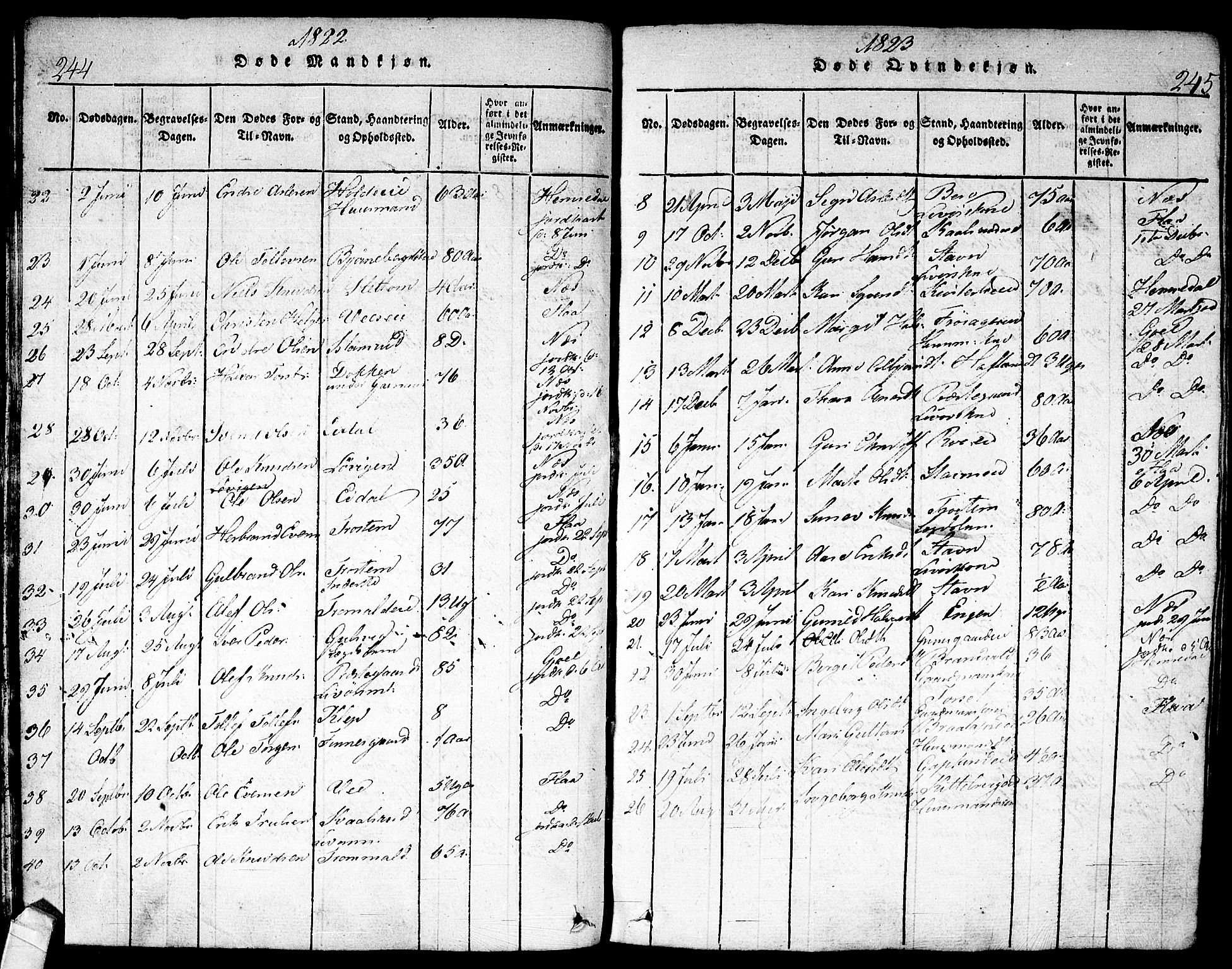 Nes kirkebøker, SAKO/A-236/F/Fa/L0007: Parish register (official) no. 7, 1815-1823, p. 244-245