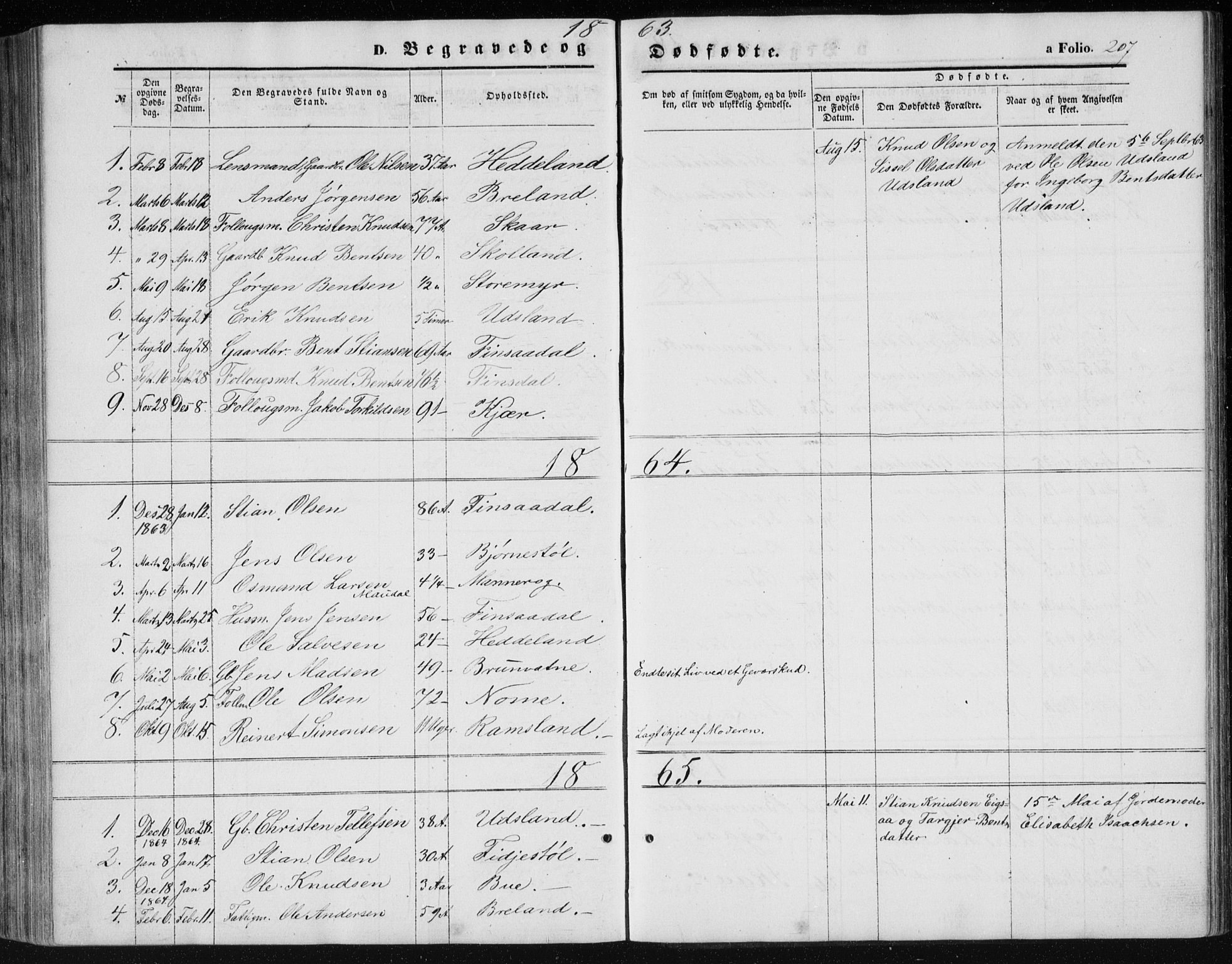 Holum sokneprestkontor, AV/SAK-1111-0022/F/Fb/Fbc/L0002: Parish register (copy) no. B 2, 1860-1882, p. 207