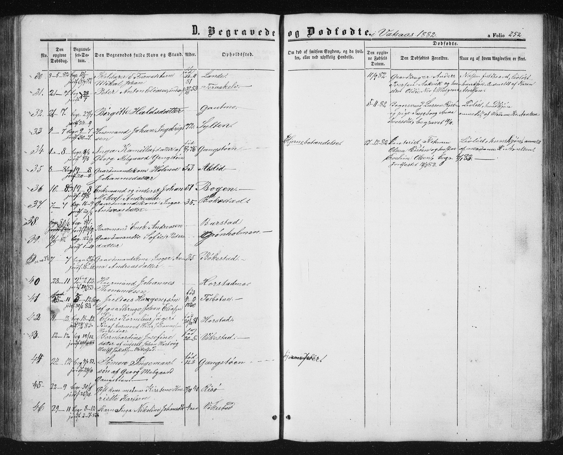 Ministerialprotokoller, klokkerbøker og fødselsregistre - Nordland, AV/SAT-A-1459/810/L0158: Parish register (copy) no. 810C02 /1, 1863-1883, p. 252