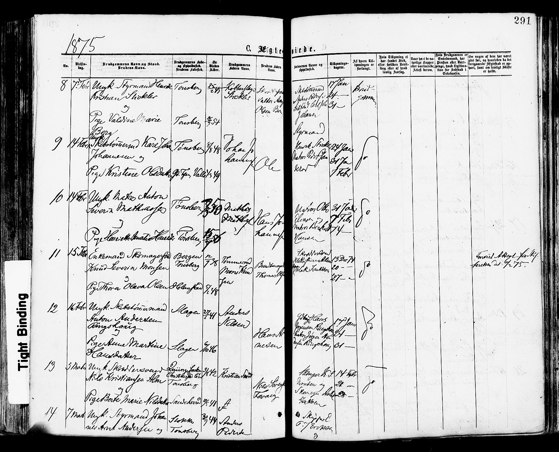 Tønsberg kirkebøker, AV/SAKO-A-330/F/Fa/L0010: Parish register (official) no. I 10, 1874-1880, p. 291