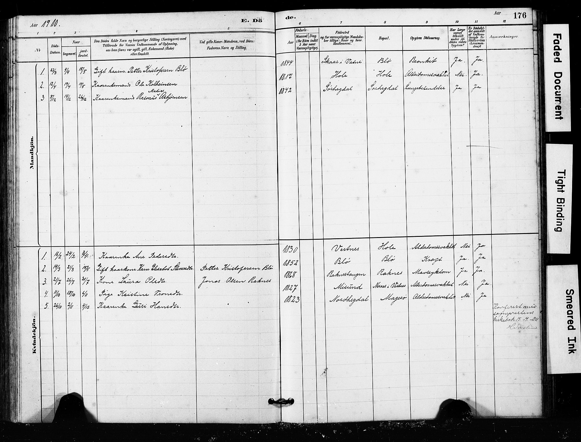 Ministerialprotokoller, klokkerbøker og fødselsregistre - Møre og Romsdal, SAT/A-1454/563/L0737: Parish register (copy) no. 563C01, 1878-1916, p. 176