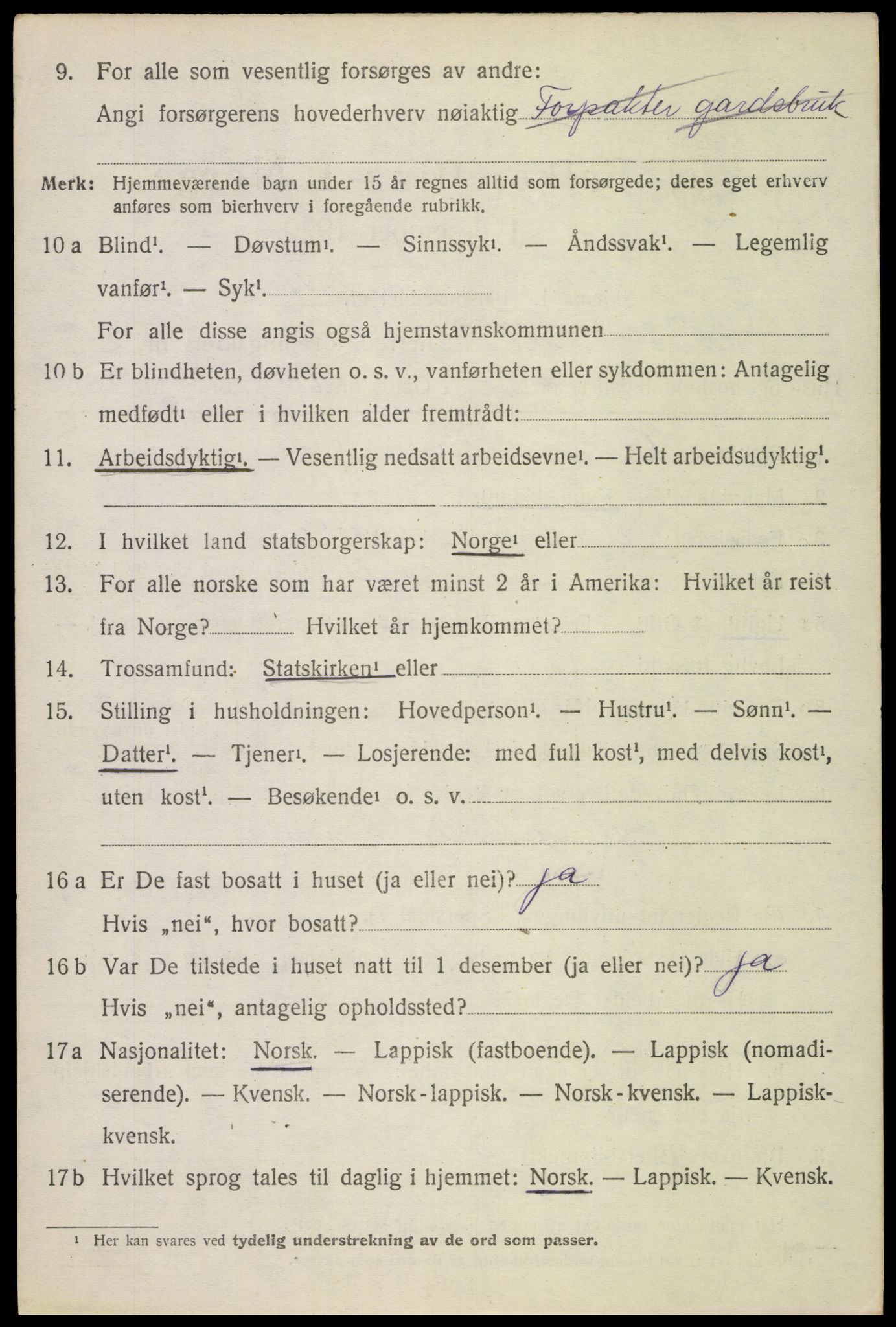 SAT, 1920 census for Bø, 1920, p. 2317