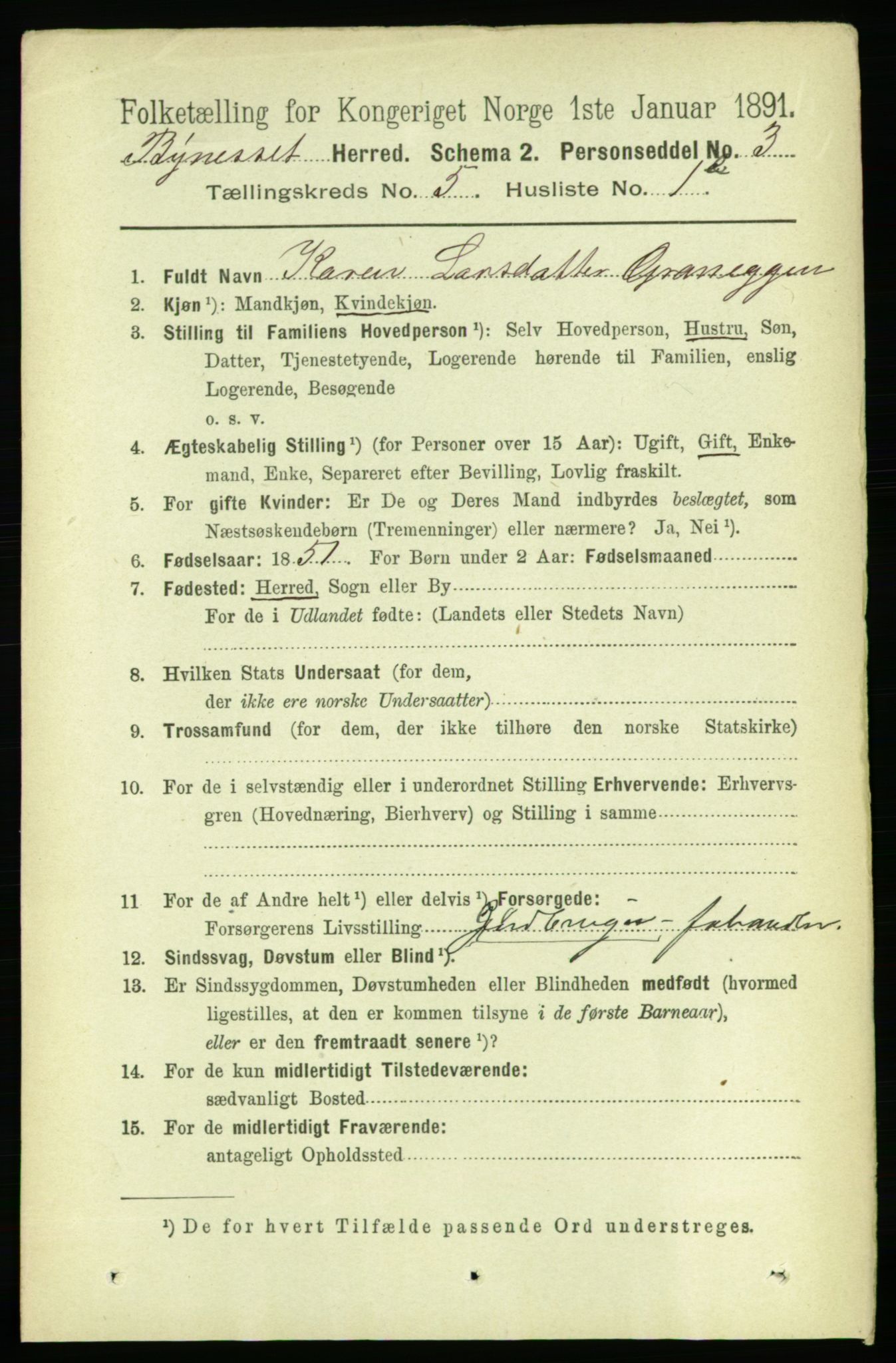 RA, 1891 census for 1655 Byneset, 1891, p. 2043