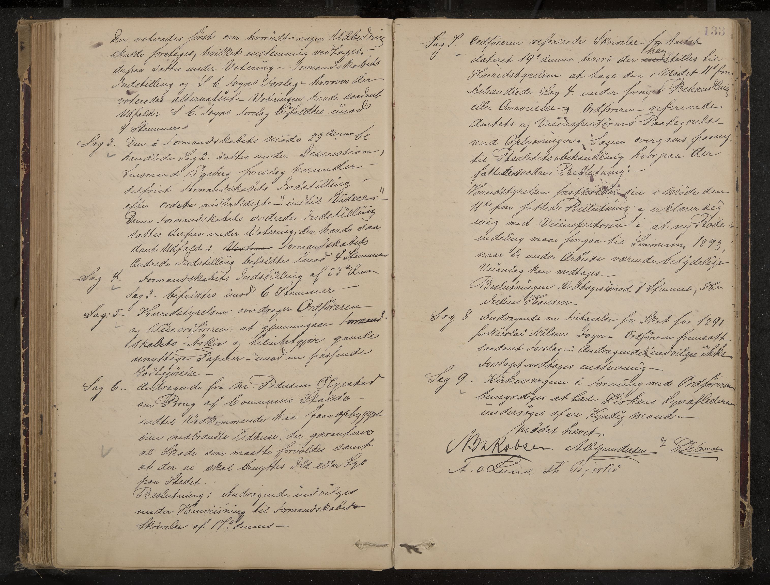 Nøtterøy formannskap og sentraladministrasjon, IKAK/0722021-1/A/Aa/L0004: Møtebok, 1887-1896, p. 133