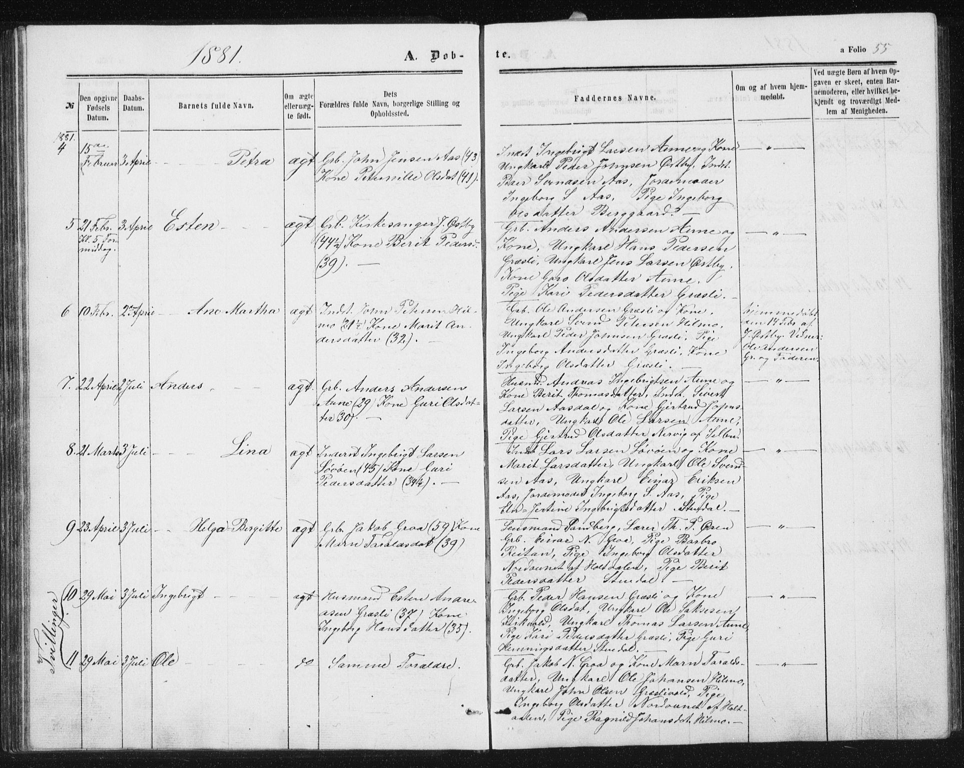 Ministerialprotokoller, klokkerbøker og fødselsregistre - Sør-Trøndelag, SAT/A-1456/698/L1166: Parish register (copy) no. 698C03, 1861-1887, p. 55