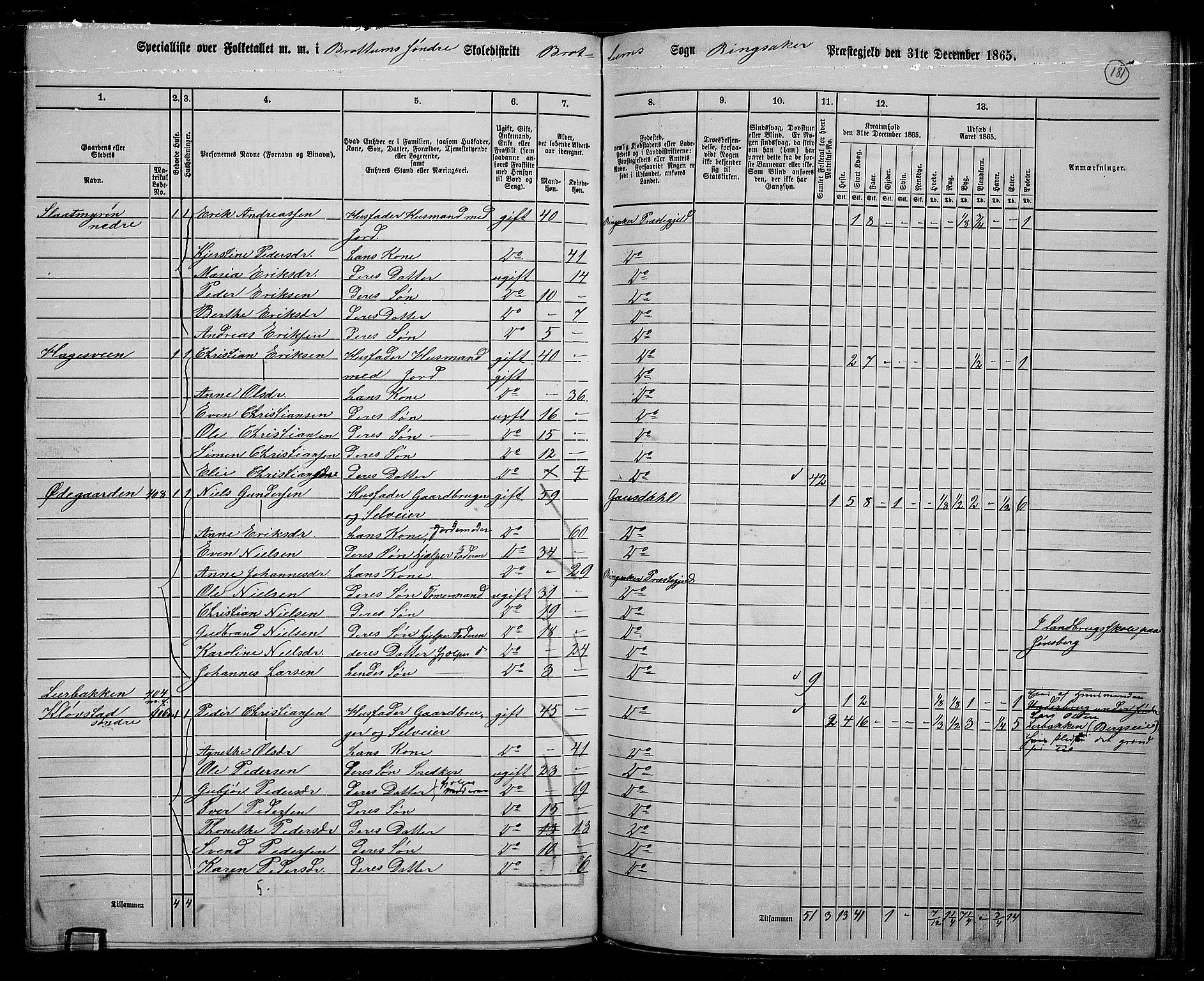 RA, 1865 census for Ringsaker, 1865, p. 423