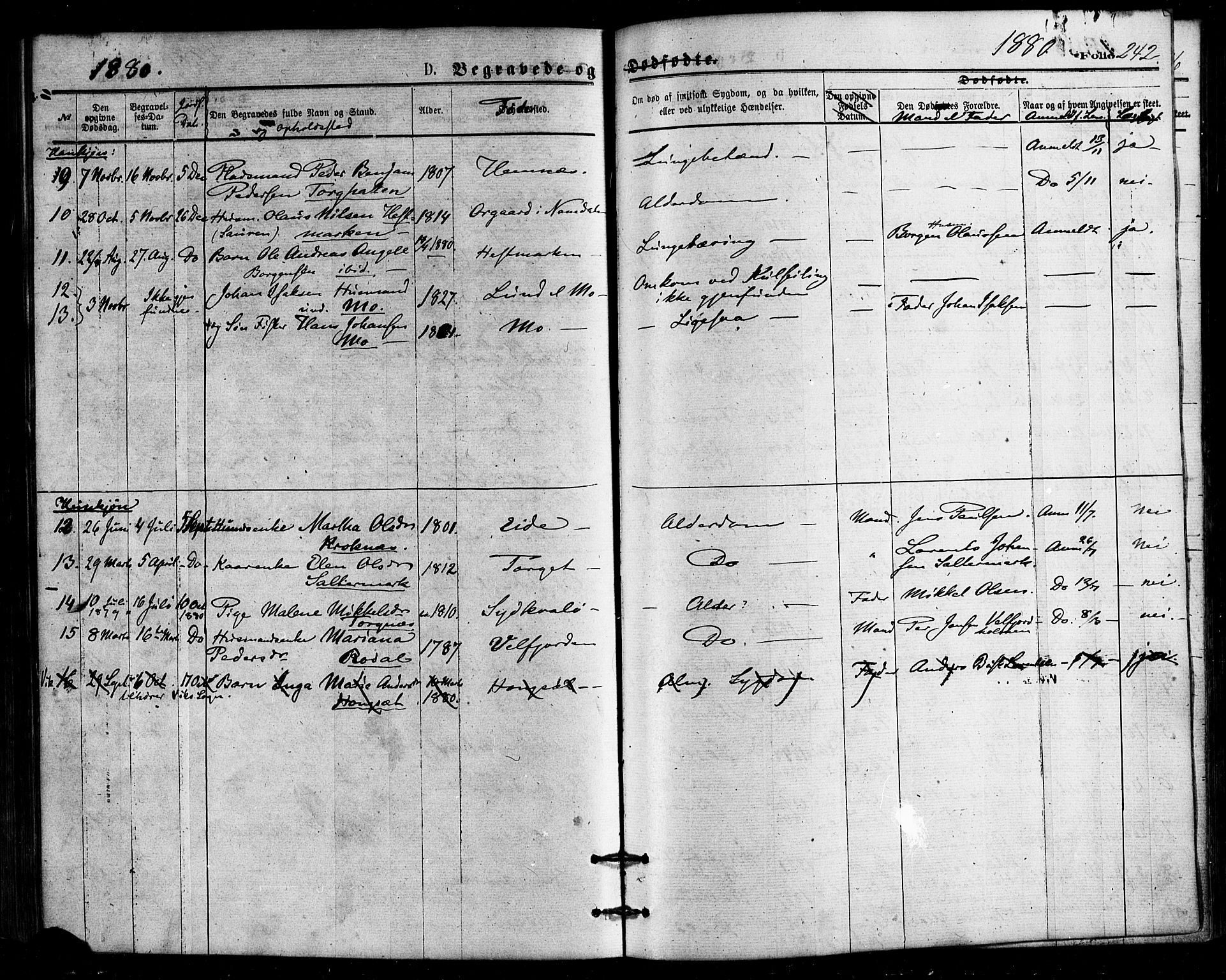 Ministerialprotokoller, klokkerbøker og fødselsregistre - Nordland, SAT/A-1459/813/L0199: Parish register (official) no. 813A09, 1875-1885, p. 242