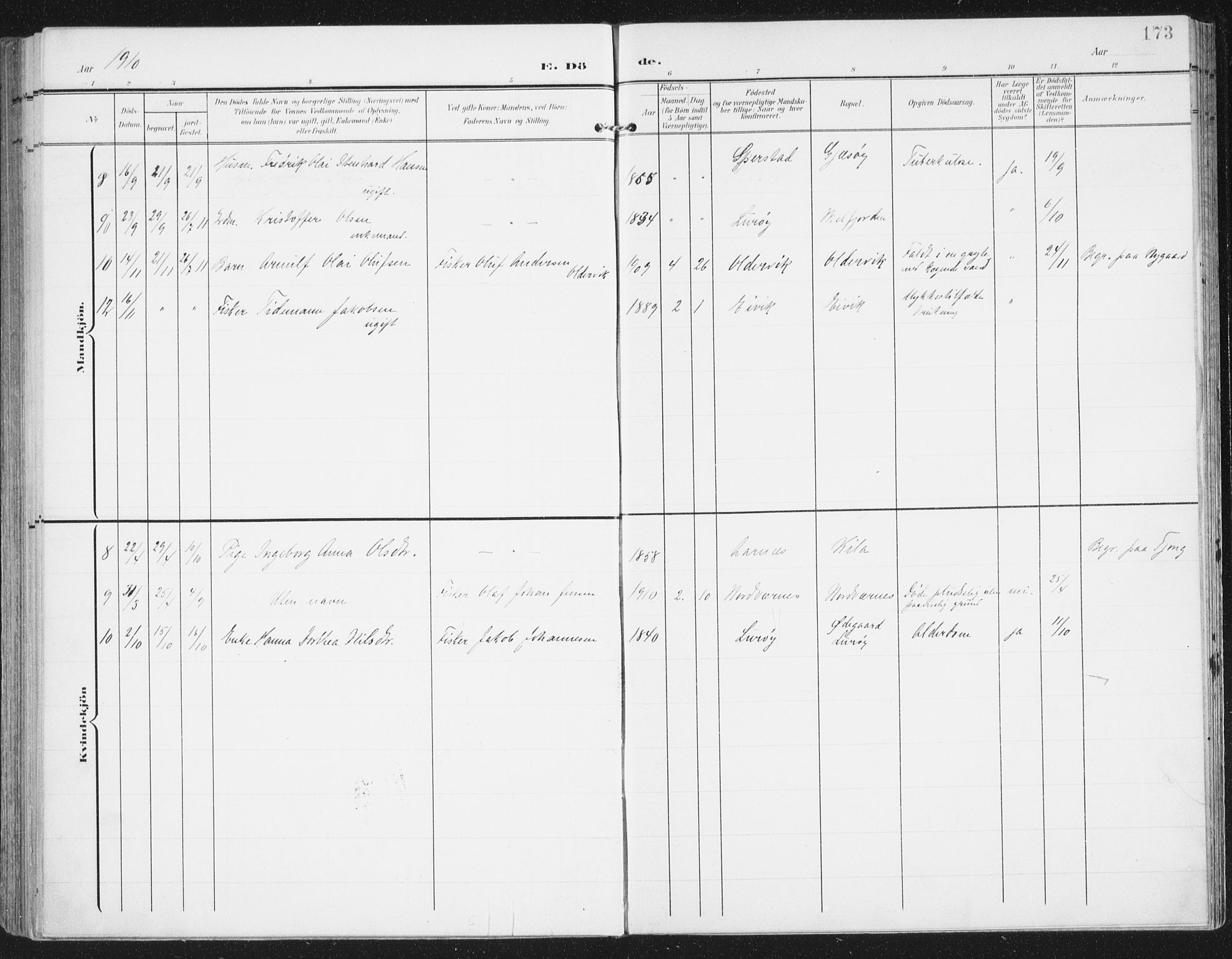 Ministerialprotokoller, klokkerbøker og fødselsregistre - Nordland, AV/SAT-A-1459/841/L0612: Parish register (official) no. 841A15, 1902-1910, p. 173