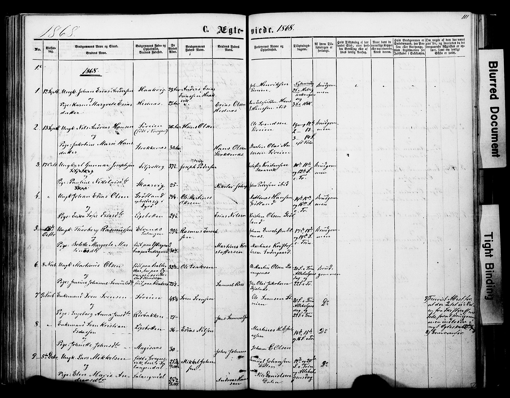 Ibestad sokneprestembete, SATØ/S-0077/H/Ha/Haa/L0013kirke: Parish register (official) no. 13, 1865-1879, p. 111