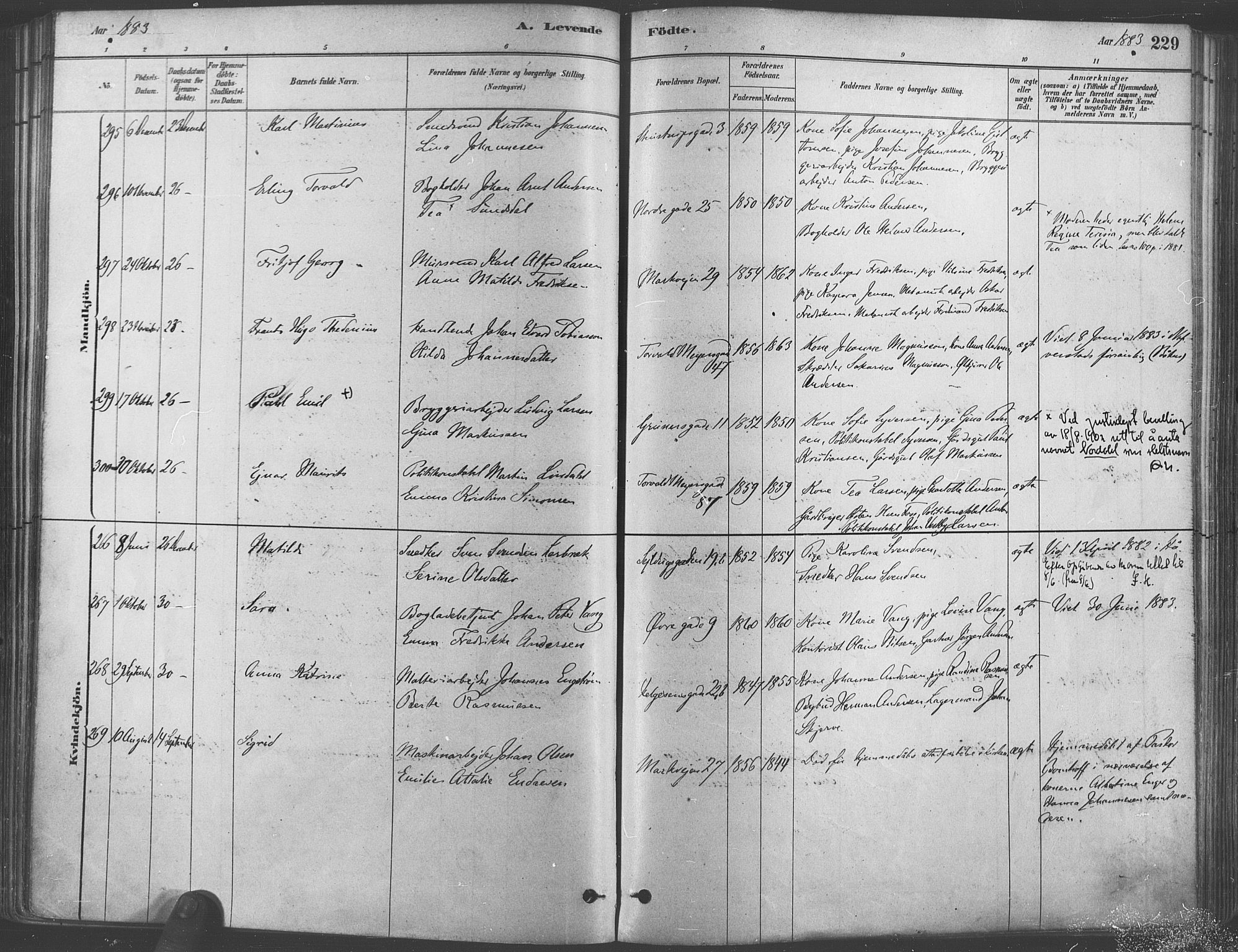 Paulus prestekontor Kirkebøker, AV/SAO-A-10871/F/Fa/L0003: Parish register (official) no. 3, 1879-1887, p. 229