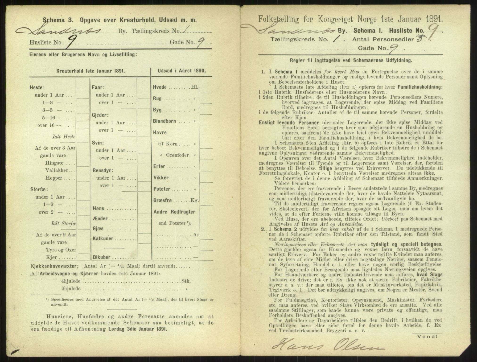 RA, 1891 census for 1102 Sandnes, 1891, p. 31