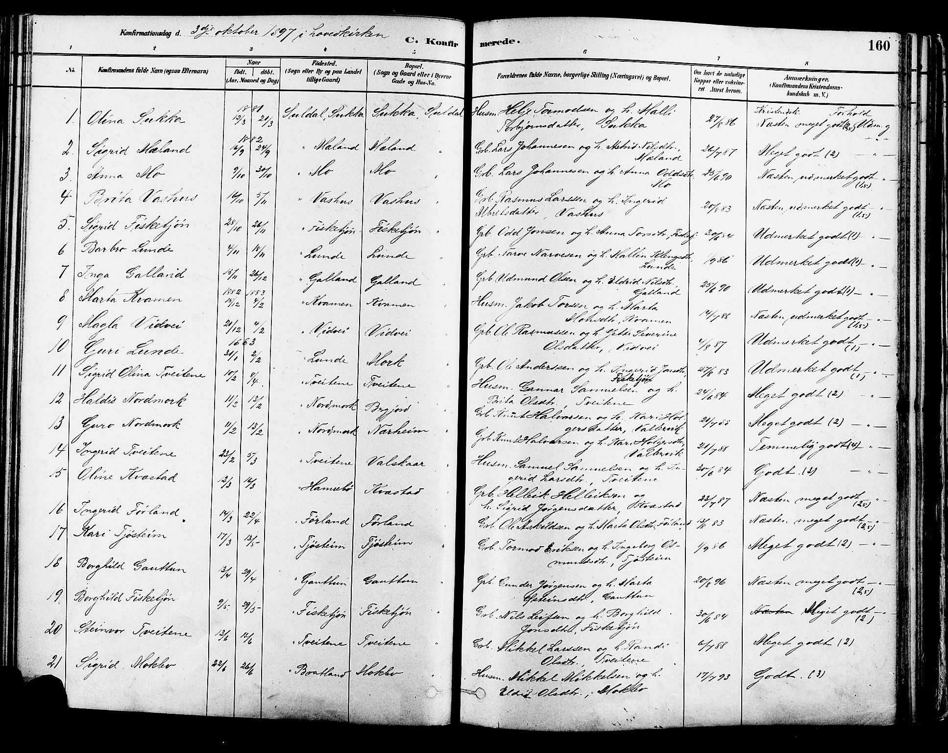 Suldal sokneprestkontor, AV/SAST-A-101845/01/IV/L0011: Parish register (official) no. A 11, 1878-1900, p. 160