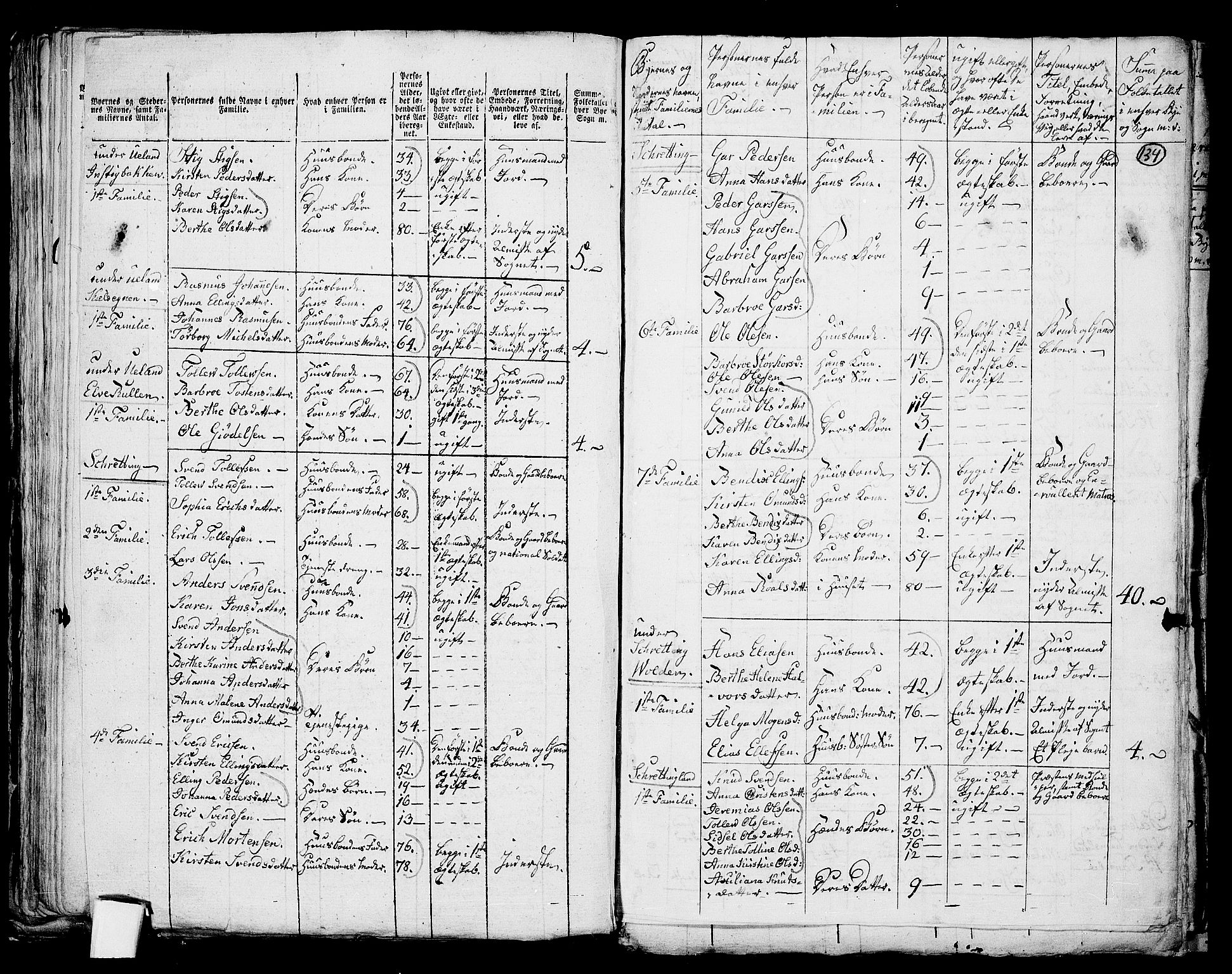 RA, 1801 census for 1119P Hå, 1801, p. 133b-134a