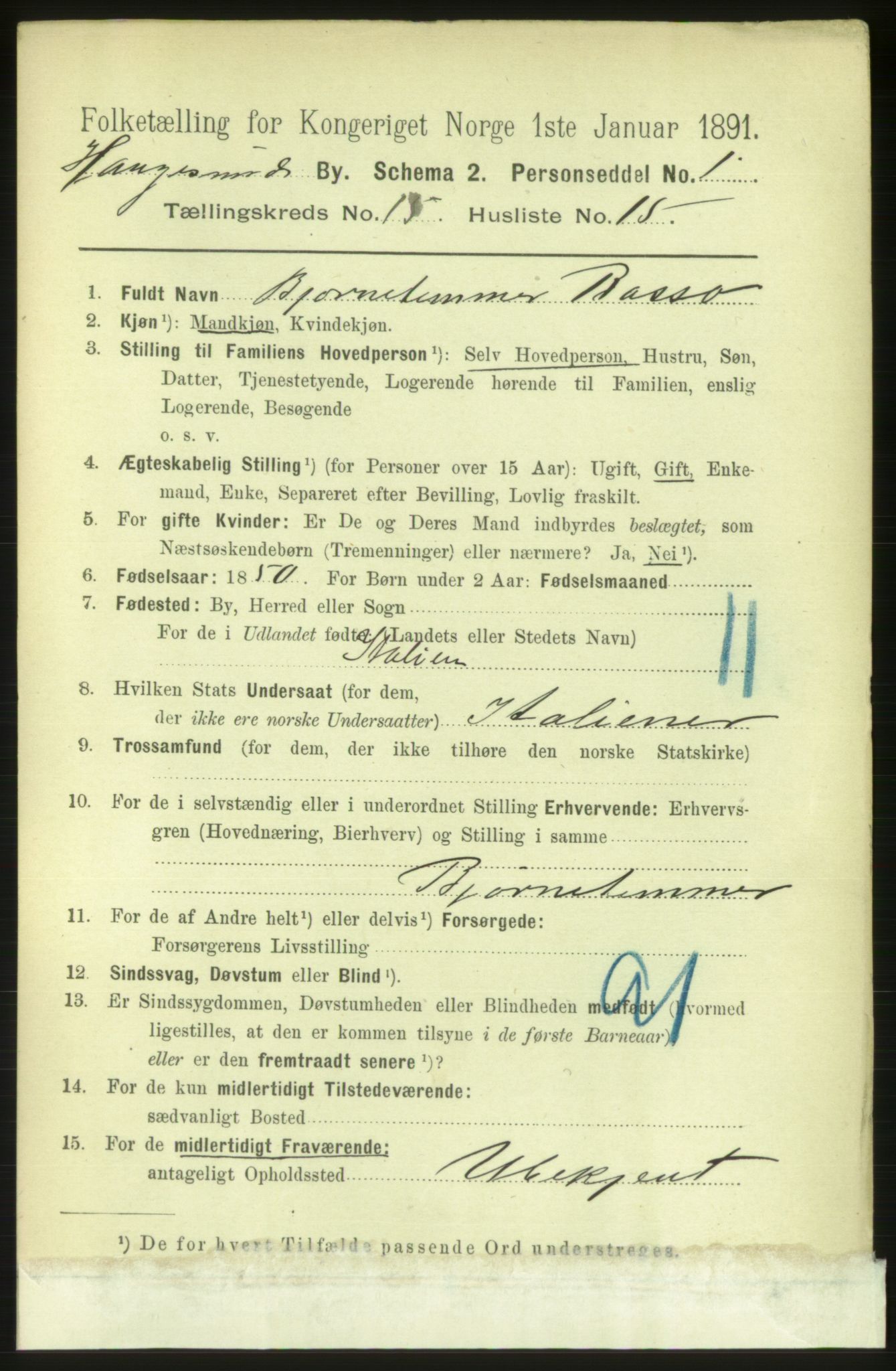 RA, 1891 census for 1106 Haugesund, 1891, p. 5051