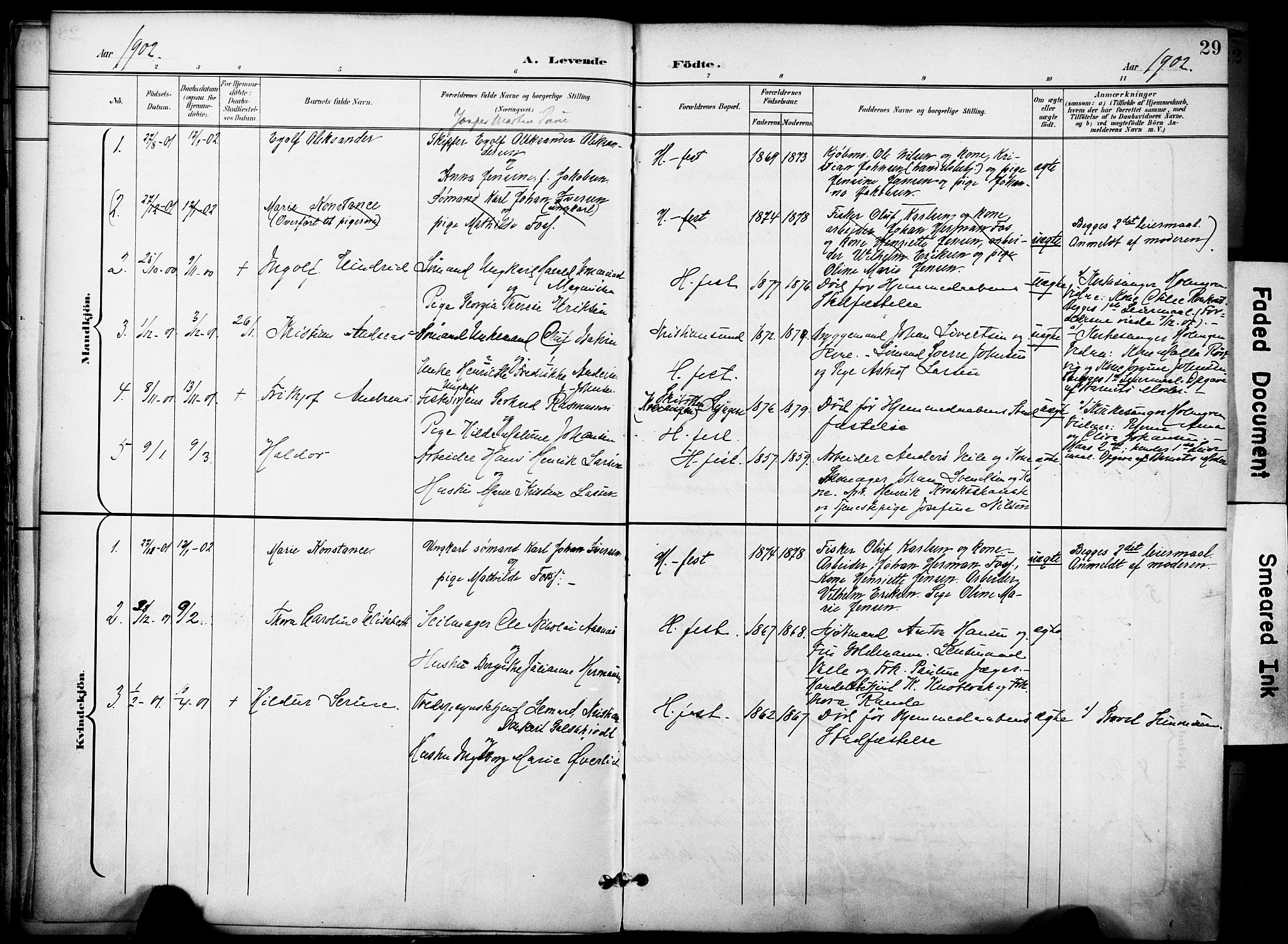 Hammerfest sokneprestkontor, SATØ/S-1347/H/Ha/L0010.kirke: Parish register (official) no. 10, 1898-1905, p. 29