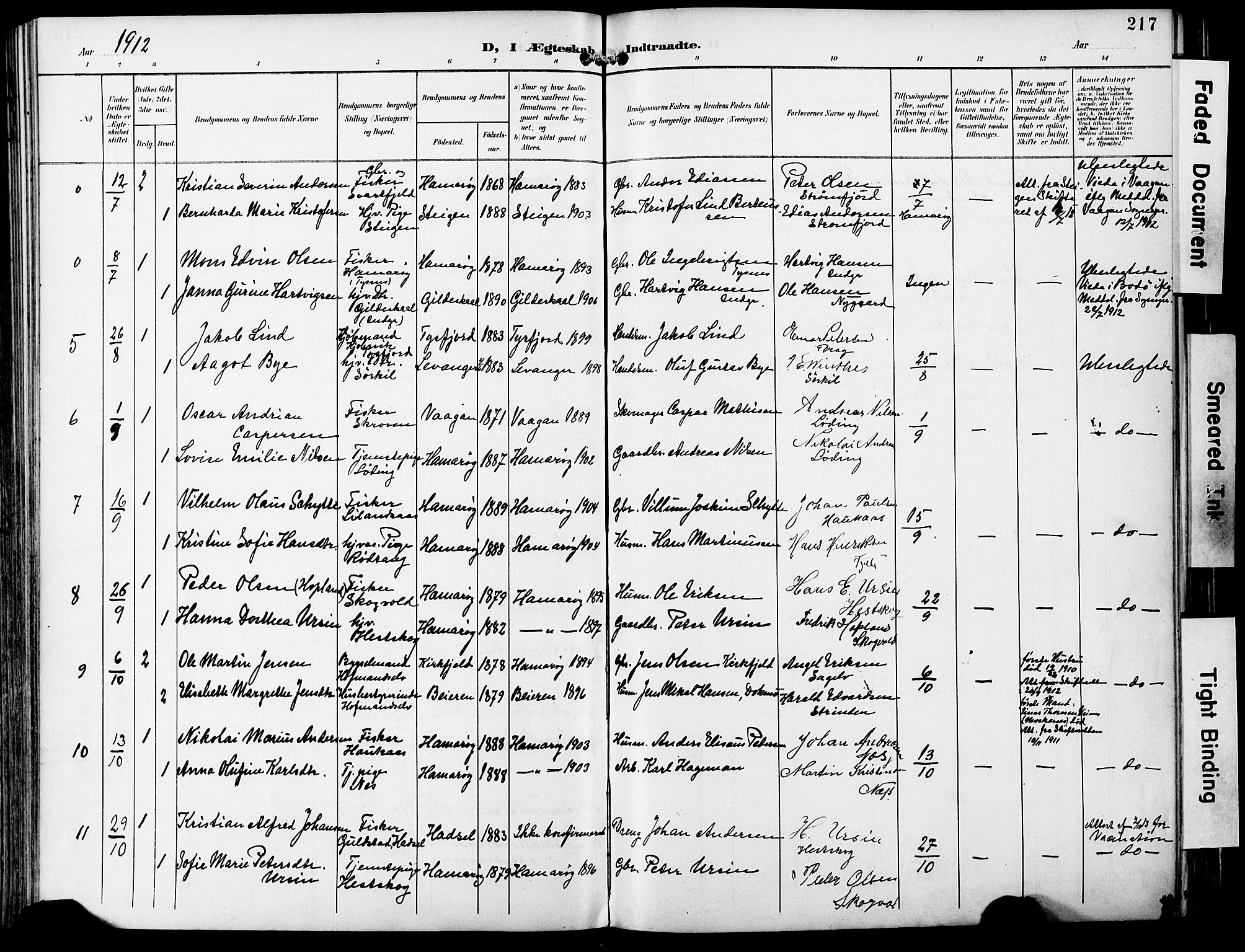 Ministerialprotokoller, klokkerbøker og fødselsregistre - Nordland, AV/SAT-A-1459/859/L0848: Parish register (official) no. 859A08, 1900-1912, p. 217