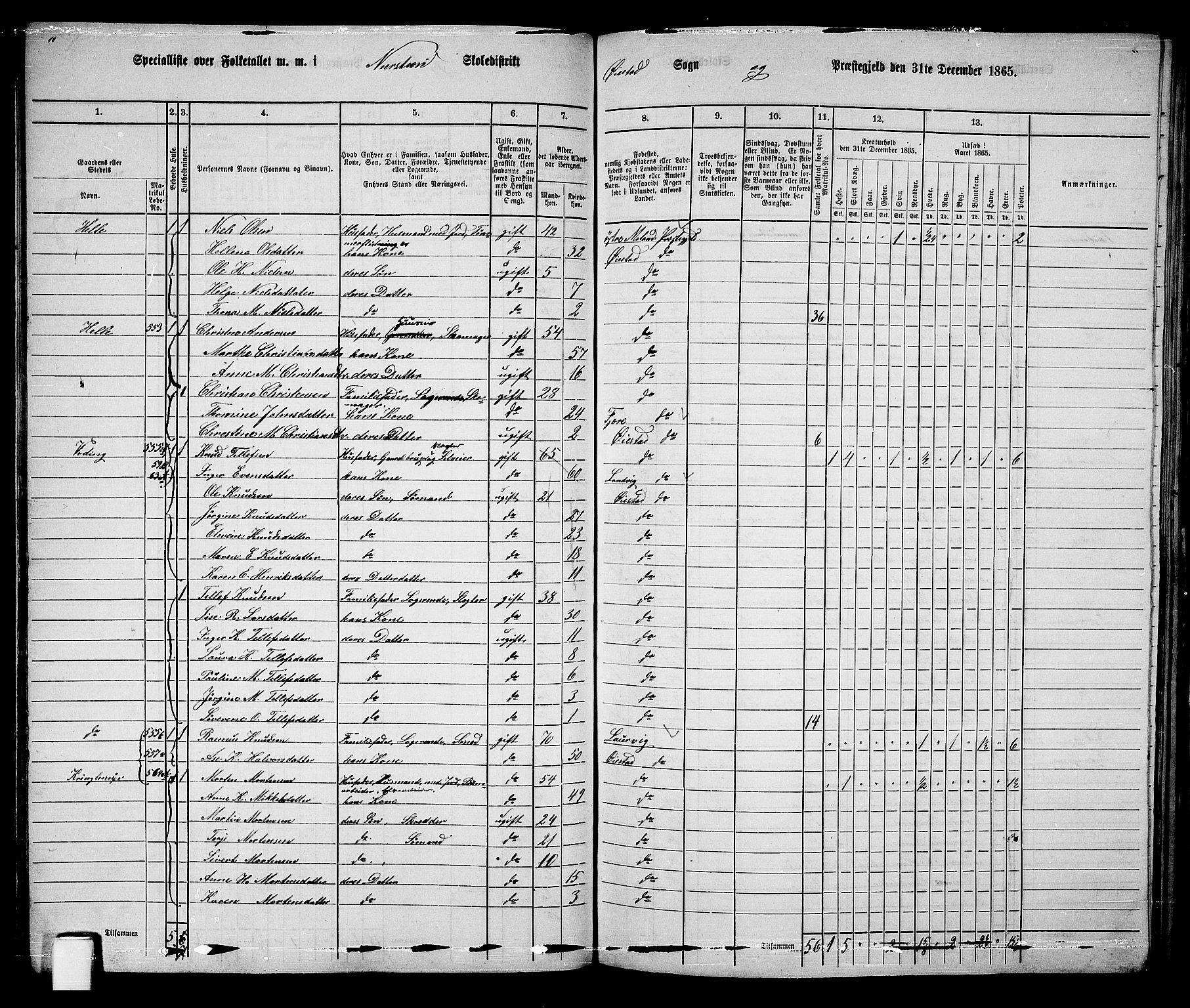 RA, 1865 census for Øyestad, 1865, p. 62