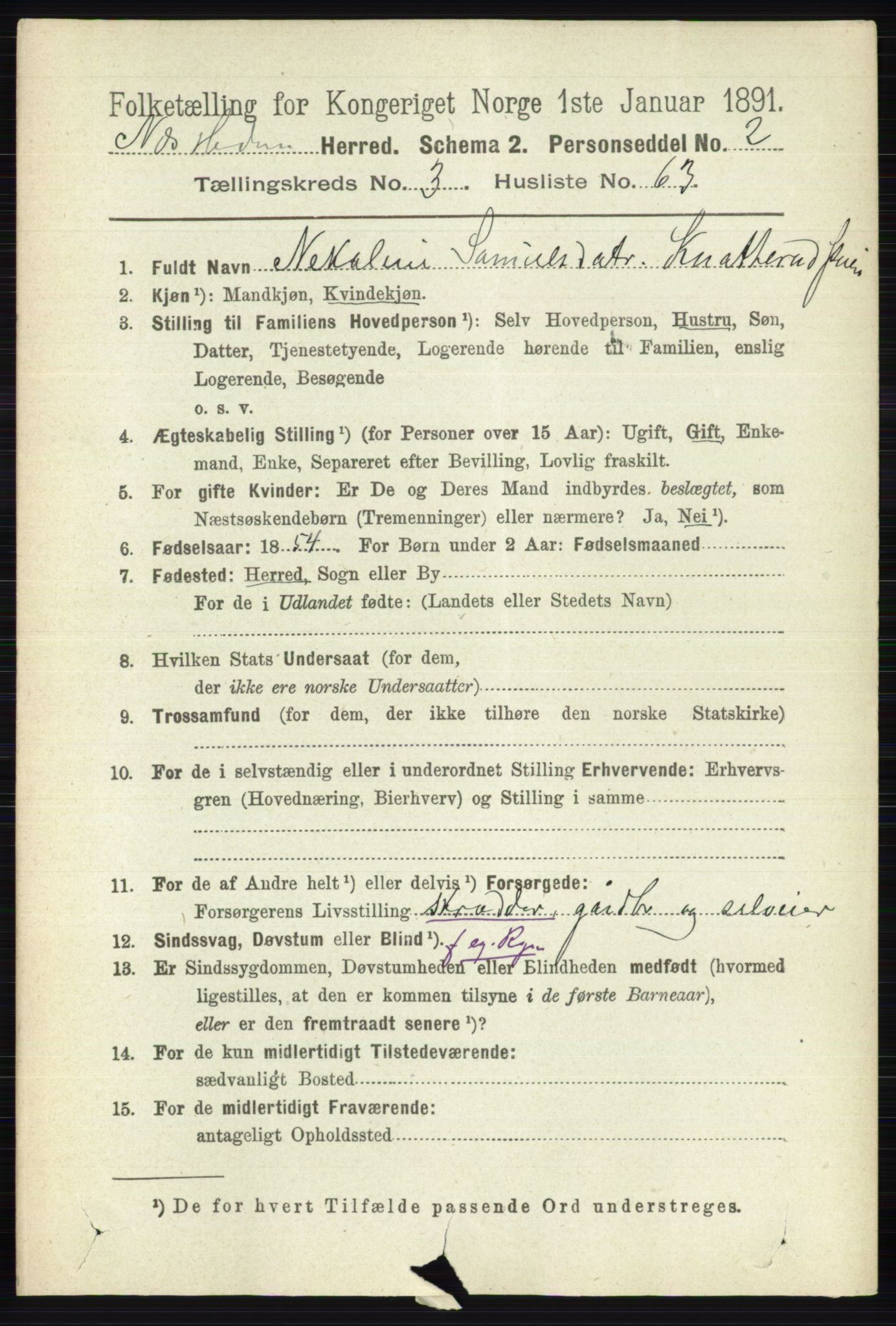 RA, 1891 census for 0411 Nes, 1891, p. 1946