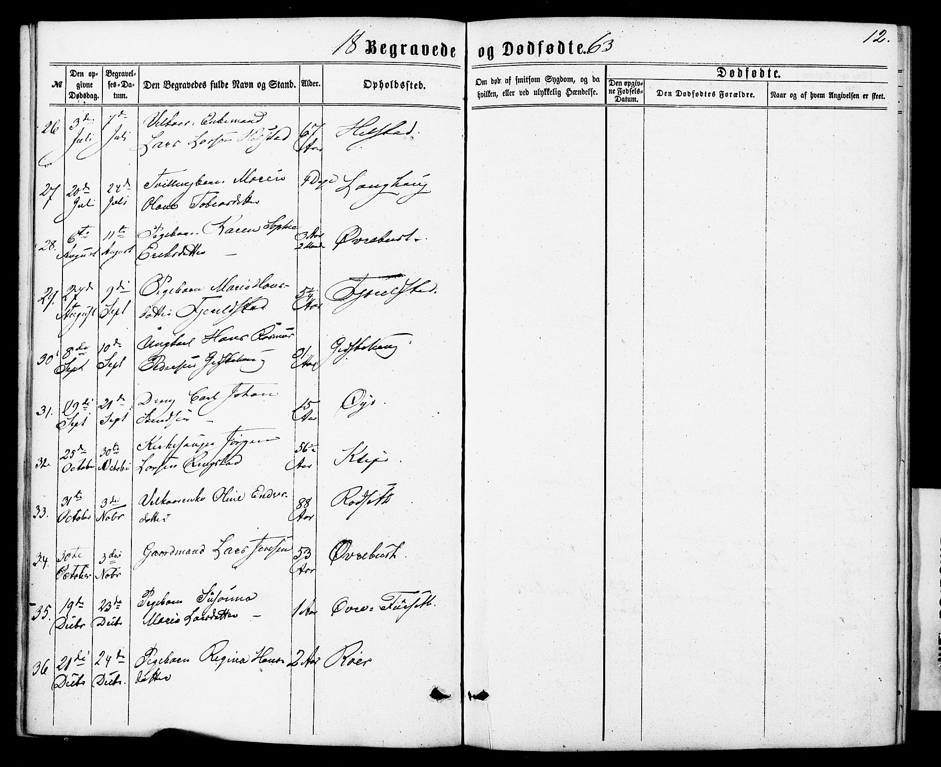 Ministerialprotokoller, klokkerbøker og fødselsregistre - Møre og Romsdal, AV/SAT-A-1454/520/L0282: Parish register (official) no. 520A11, 1862-1881, p. 12