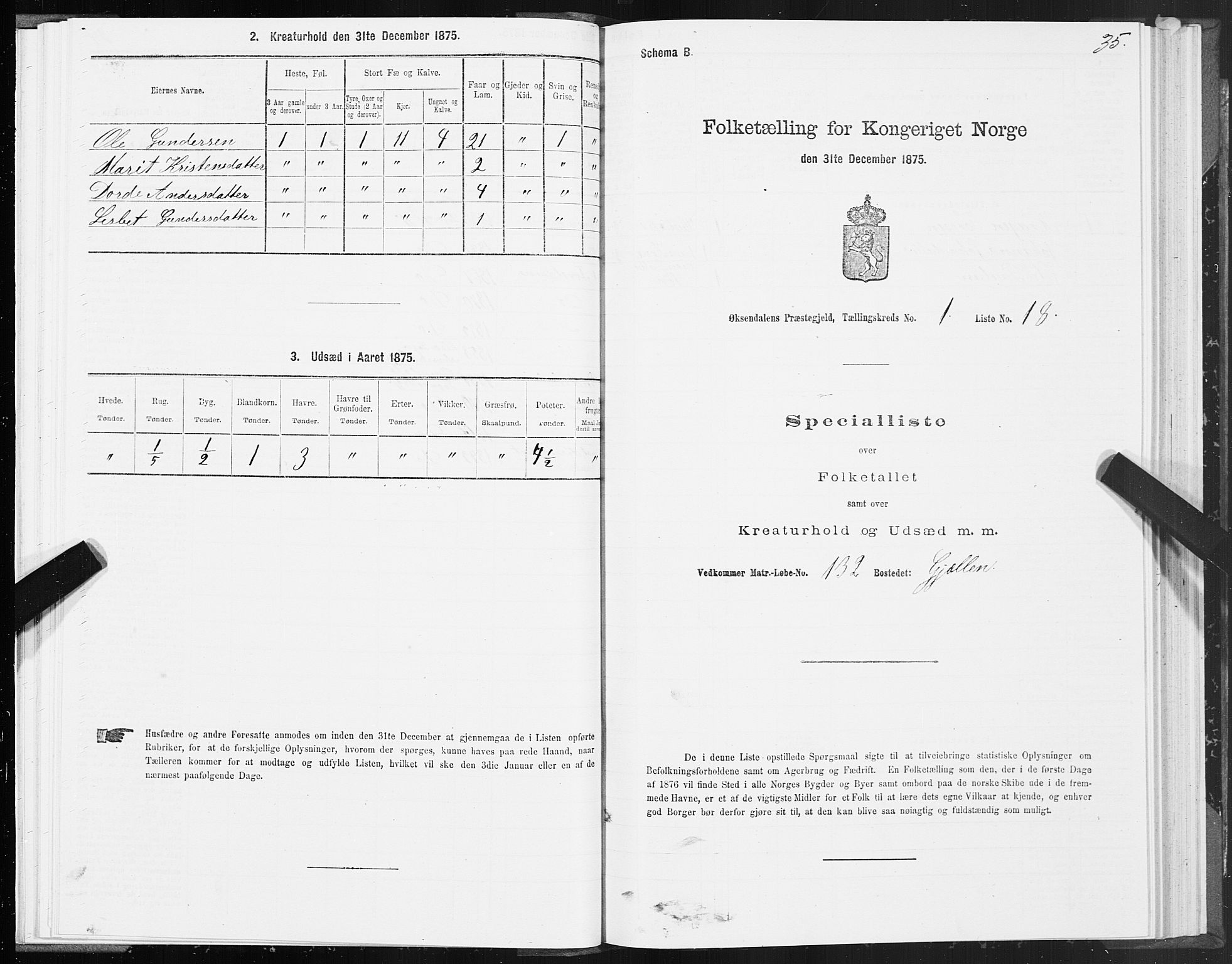 SAT, 1875 census for 1561P Øksendal, 1875, p. 1035