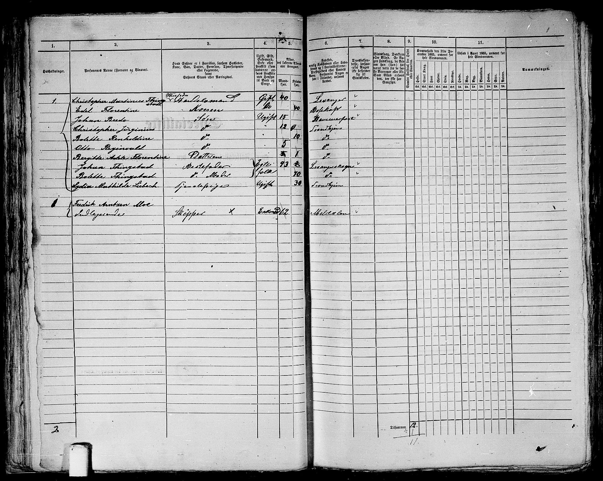 RA, 1865 census for Trondheim, 1865, p. 119