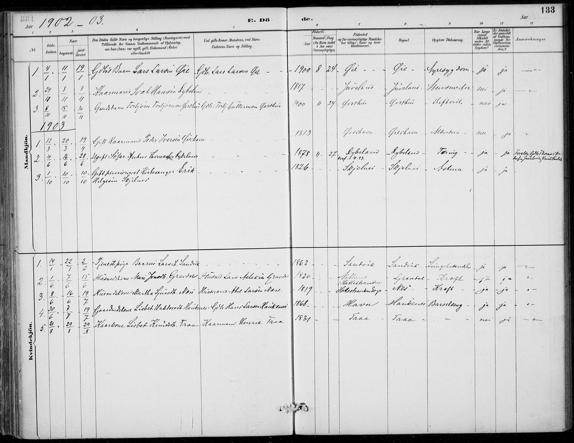 Strandebarm sokneprestembete, SAB/A-78401/H/Haa: Parish register (official) no. D  1, 1886-1912, p. 133