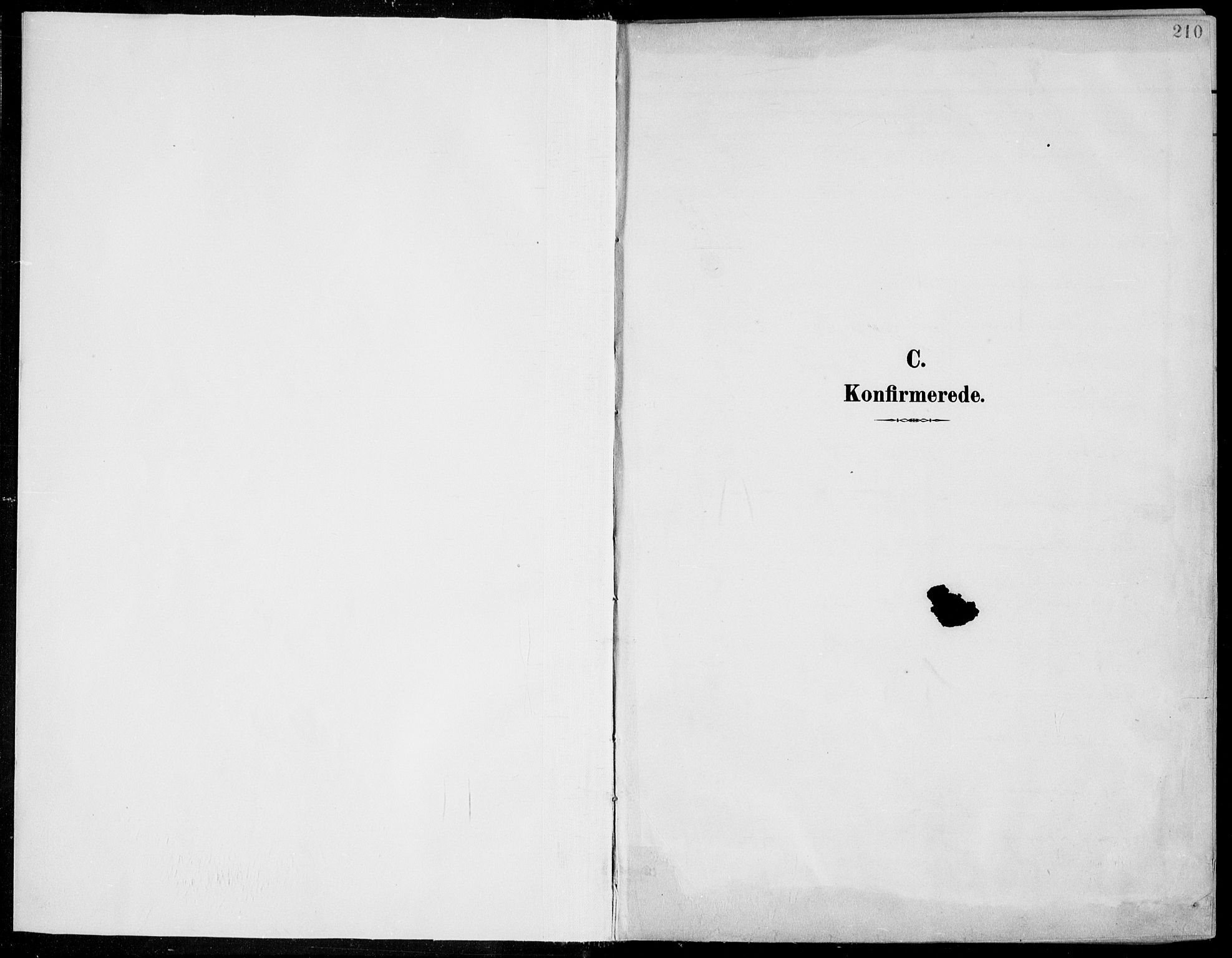 Porsgrunn kirkebøker , SAKO/A-104/F/Fa/L0011: Parish register (official) no. 11, 1895-1919, p. 210
