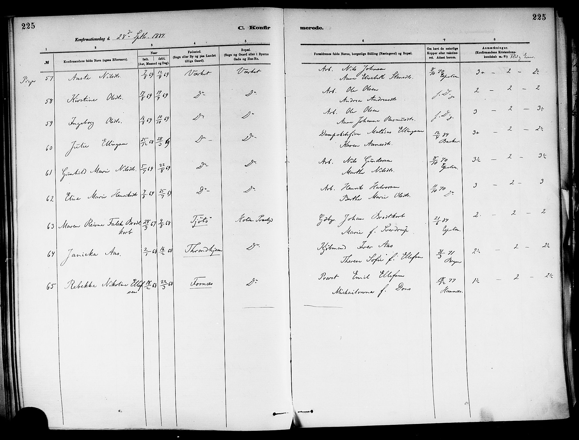 Holla kirkebøker, AV/SAKO-A-272/F/Fa/L0008: Parish register (official) no. 8, 1882-1897, p. 225