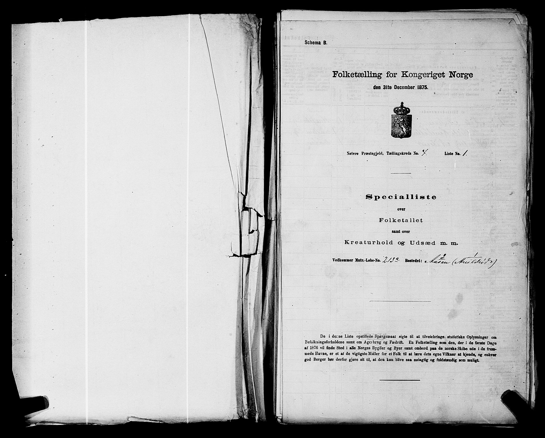 SAKO, 1875 census for 0722P Nøtterøy, 1875, p. 1335