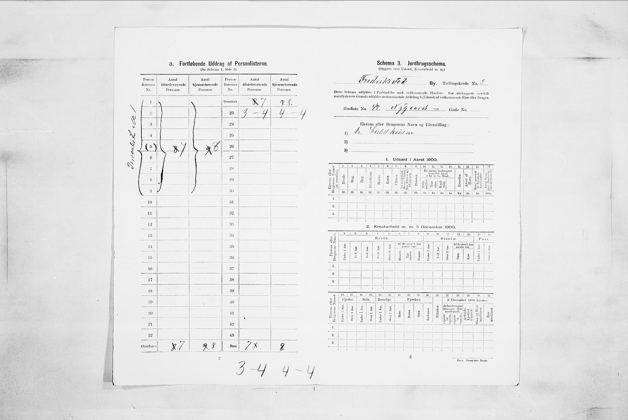 SAO, 1900 census for Fredrikstad, 1900