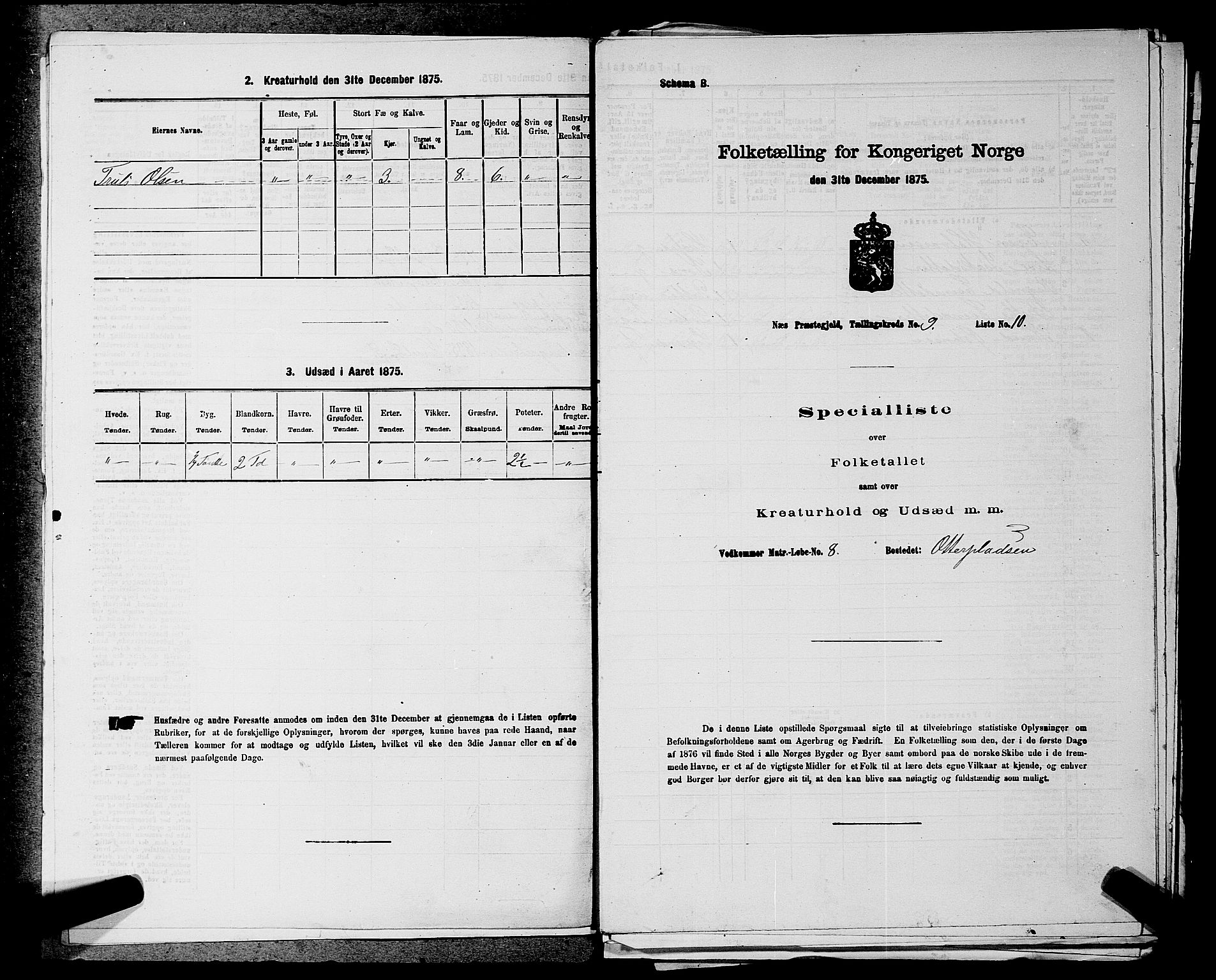 SAKO, 1875 census for 0616P Nes, 1875, p. 1424